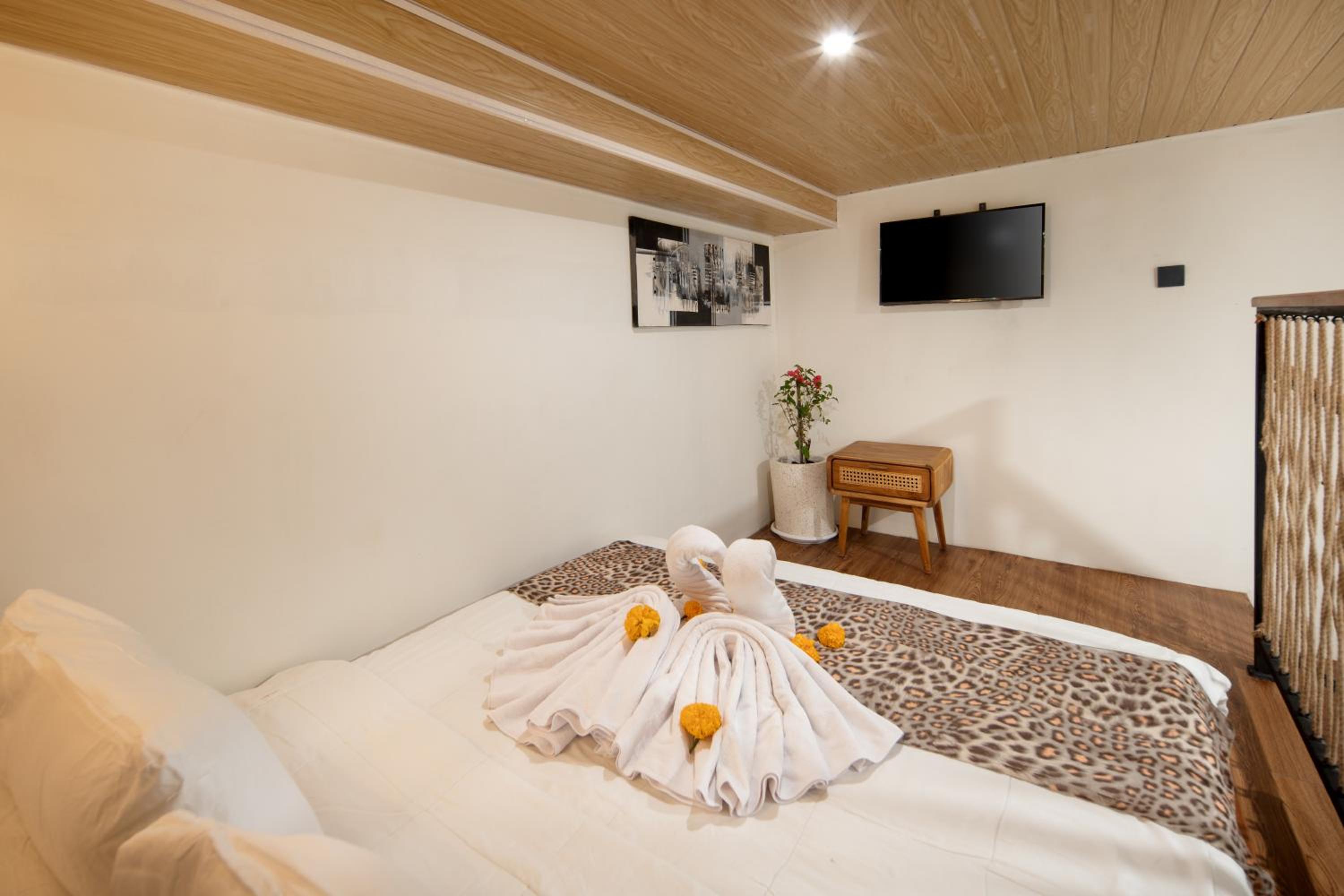 Cozia Living