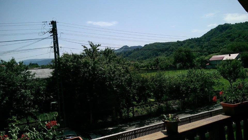 Pensiunea Rares
