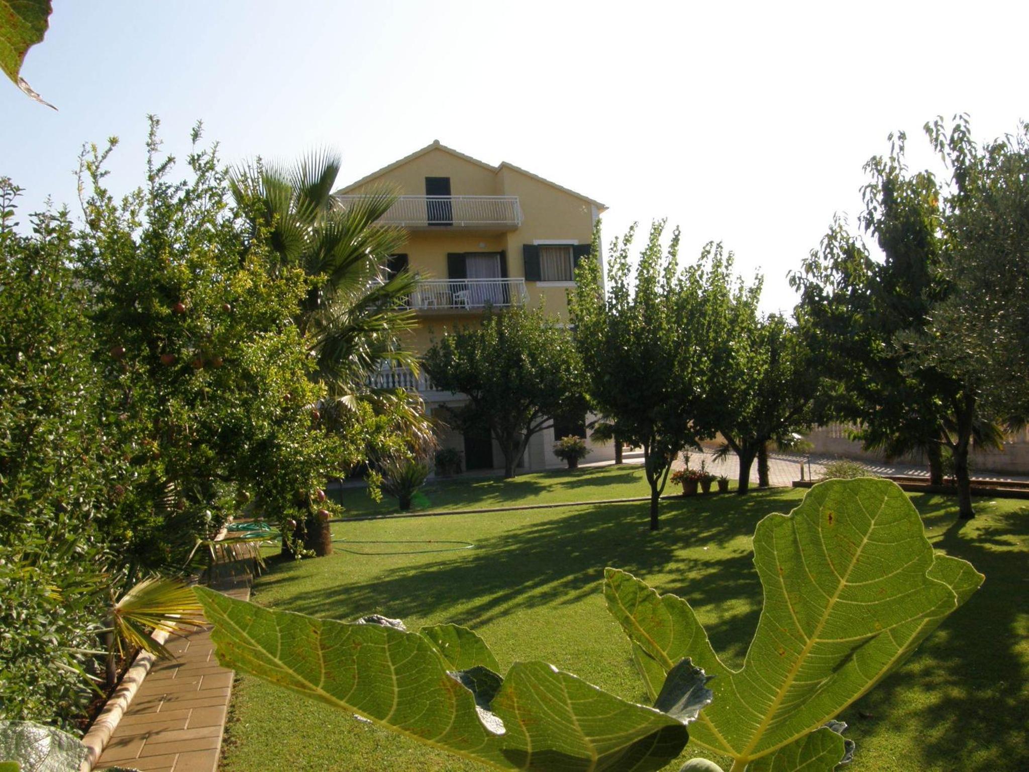 Photo 40