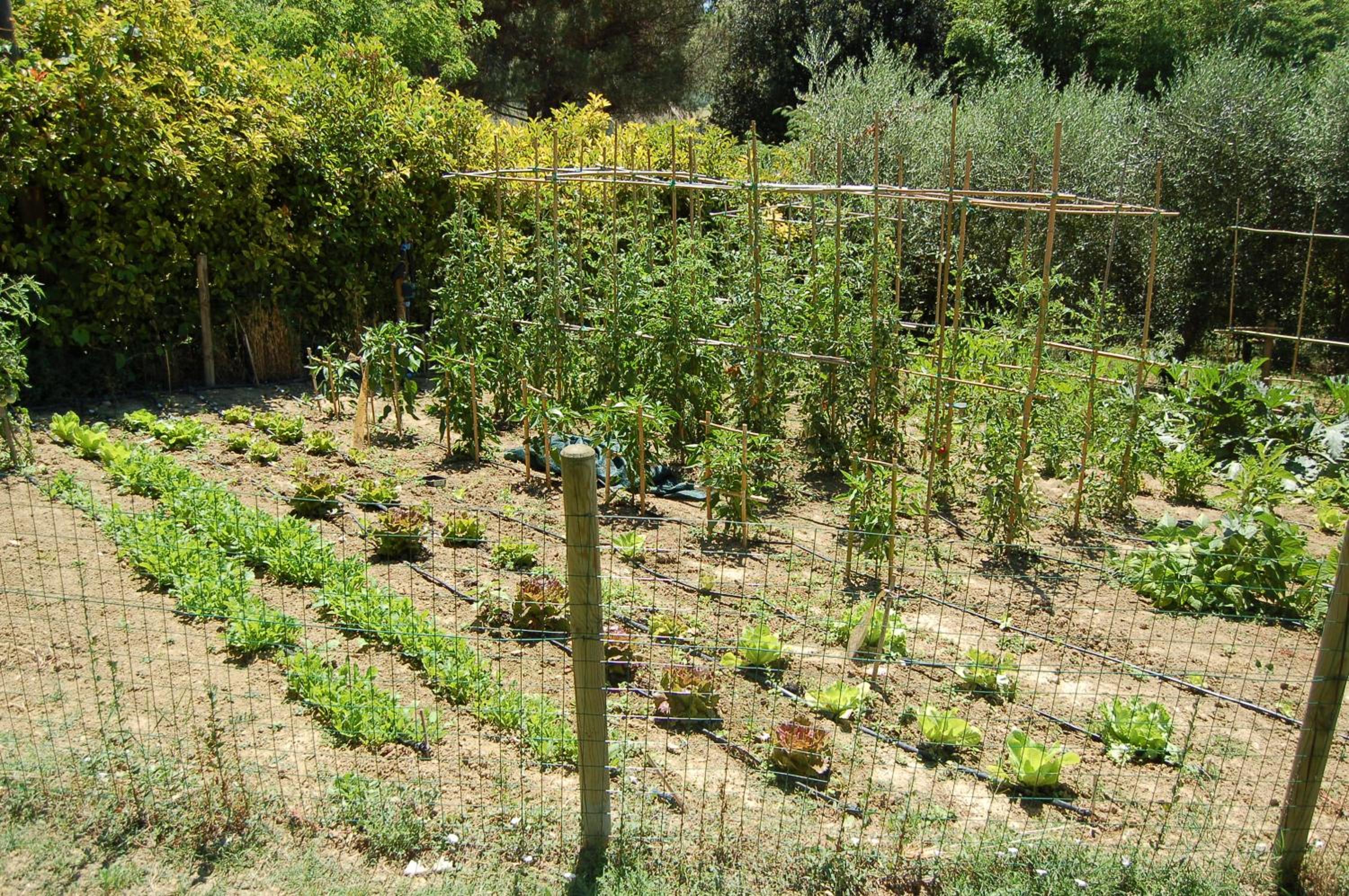 Agriturismo Casale Dei Frontini