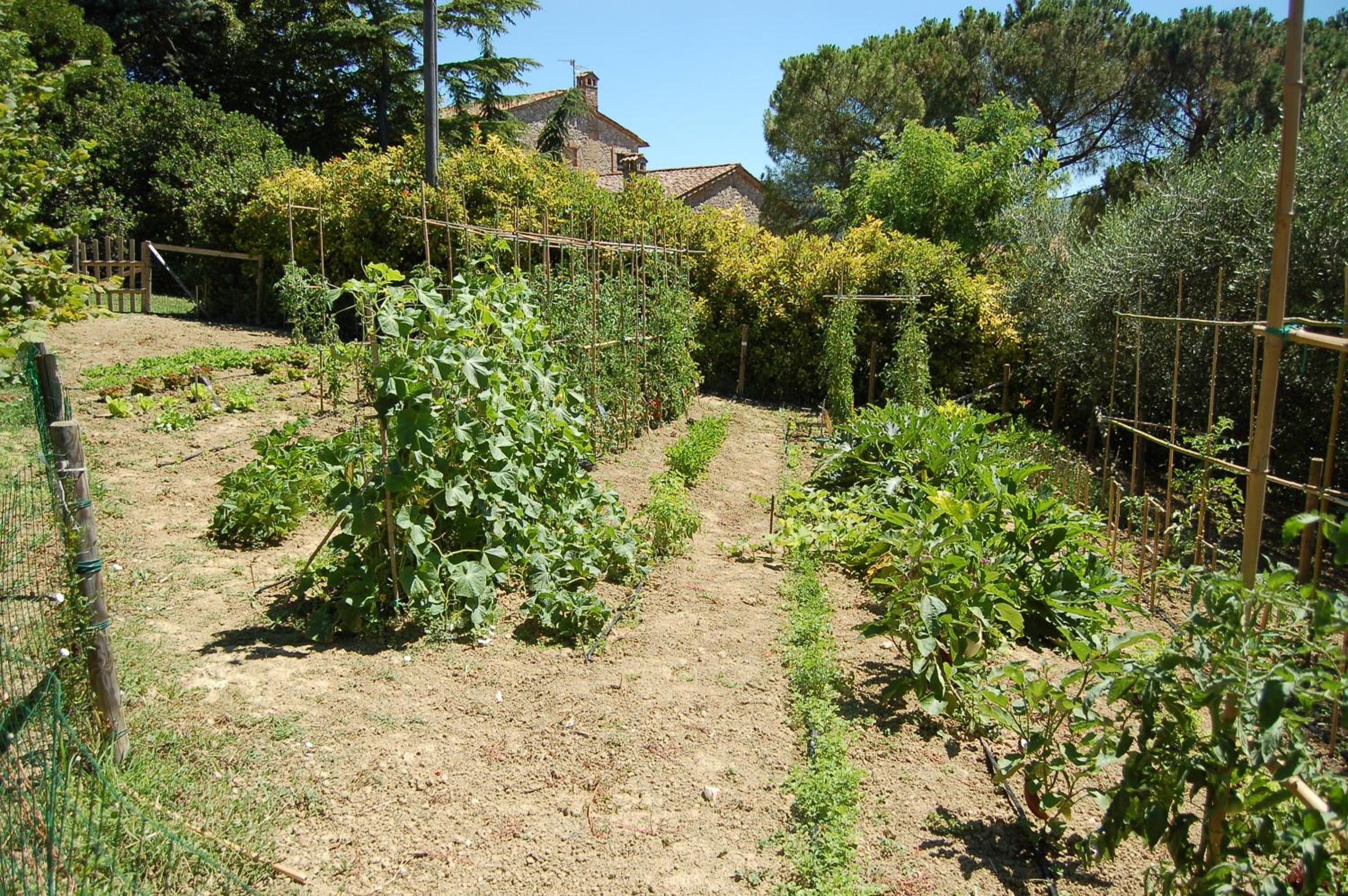 Agriturismo Casale Dei Frontini
