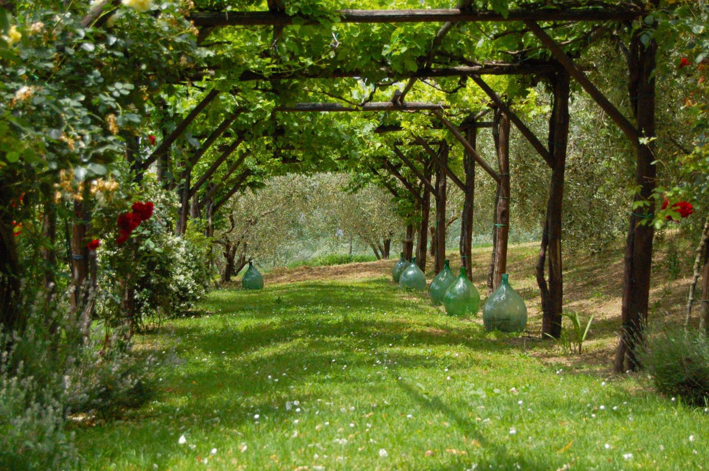 Agriturismo Casale Dei Frontini