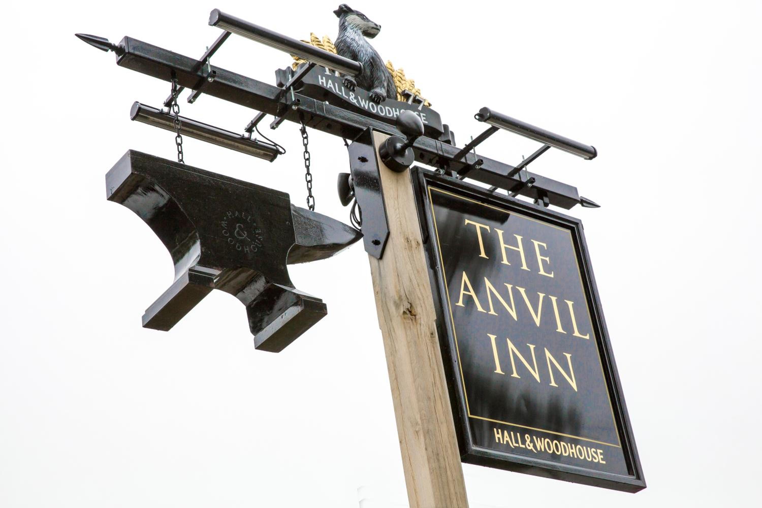 The Anvil