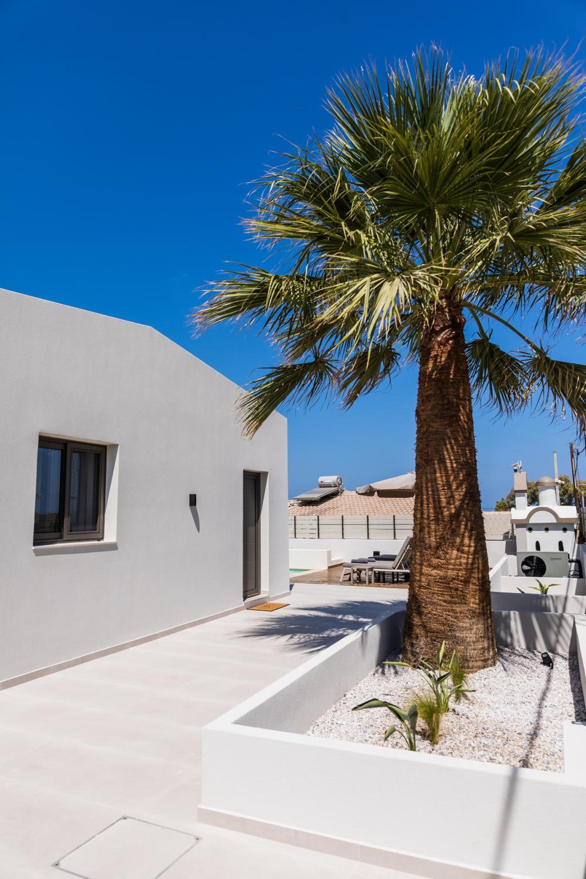 Infinity Palm Villa photo 3