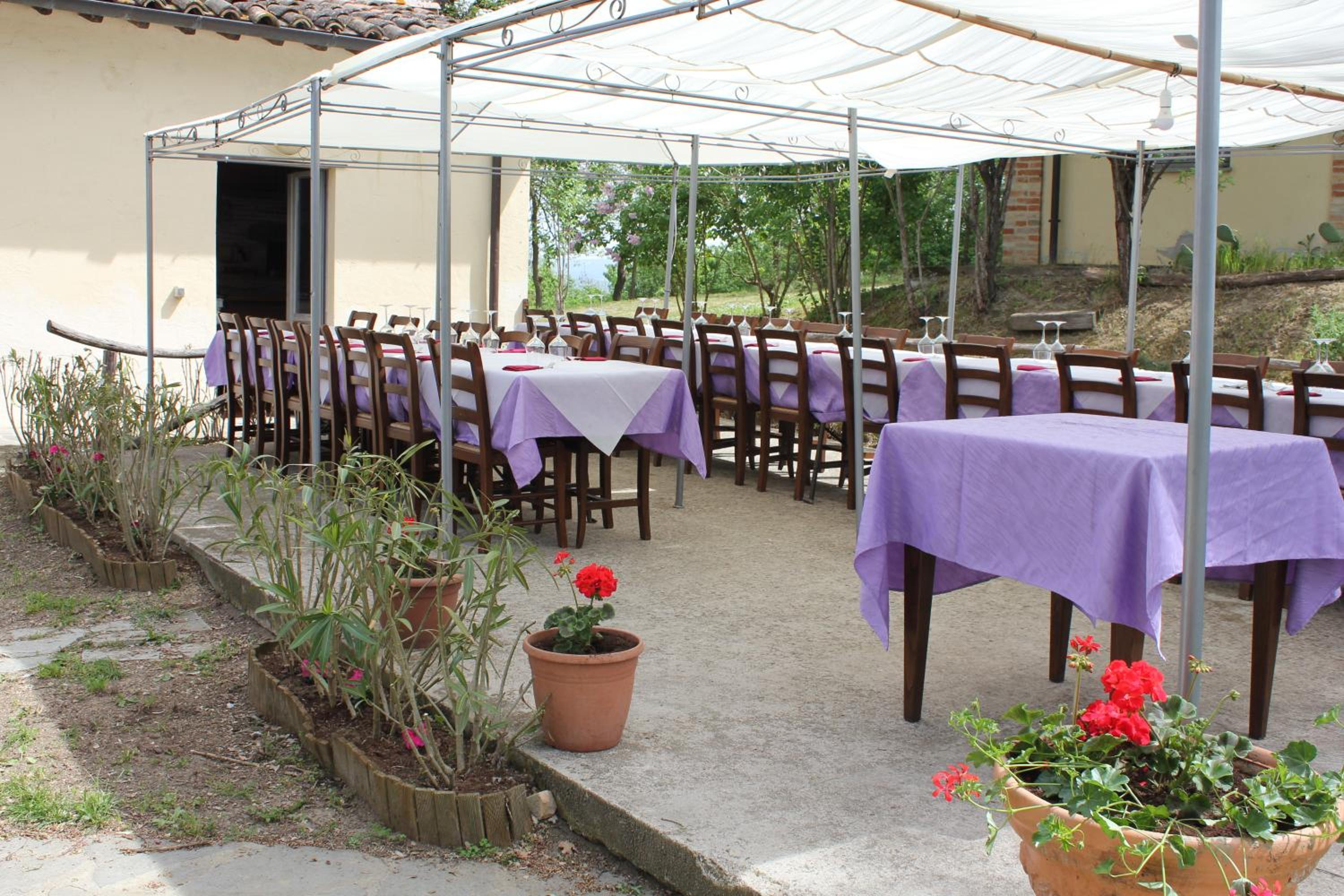 Badia il Vingone