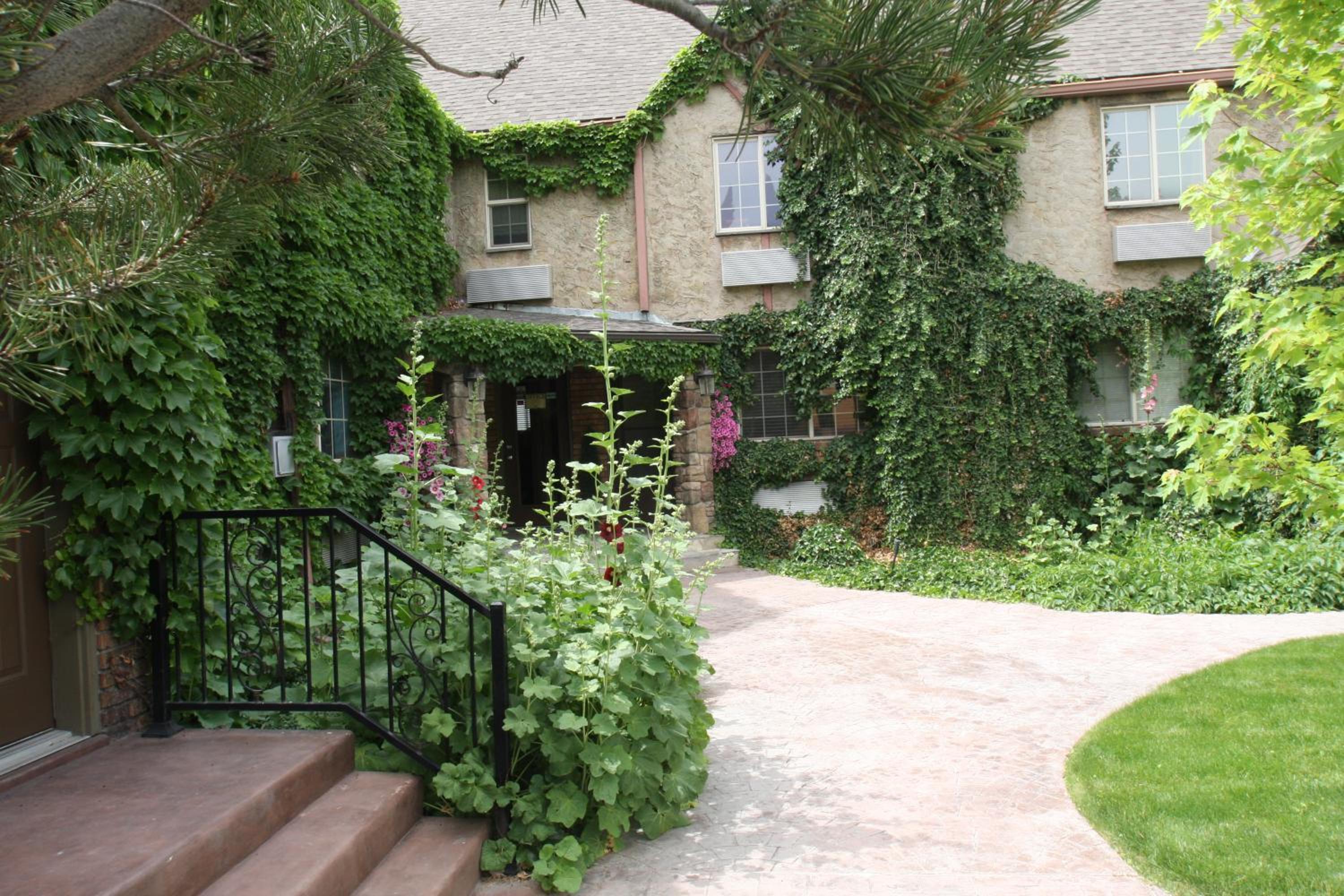 Black Swan Inn Luxurious Theme Rooms