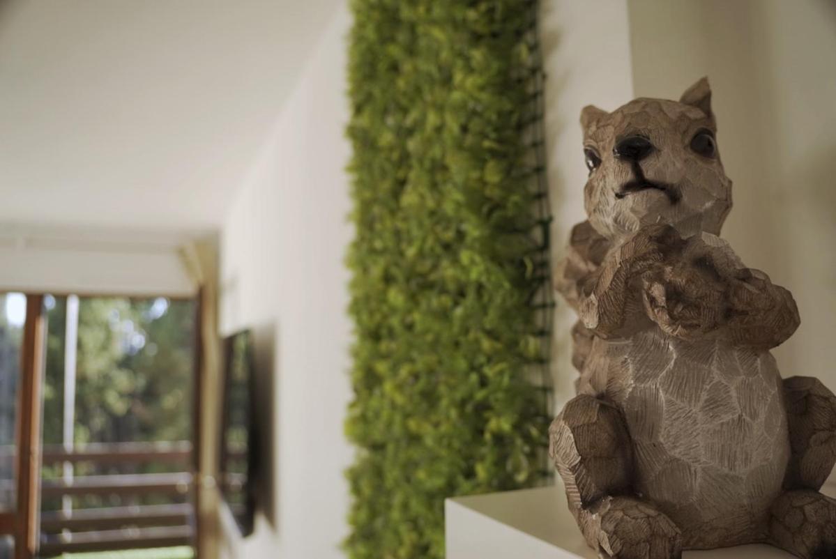 Cozy Studio Font Romeu - Le Petit Flocon de Neige