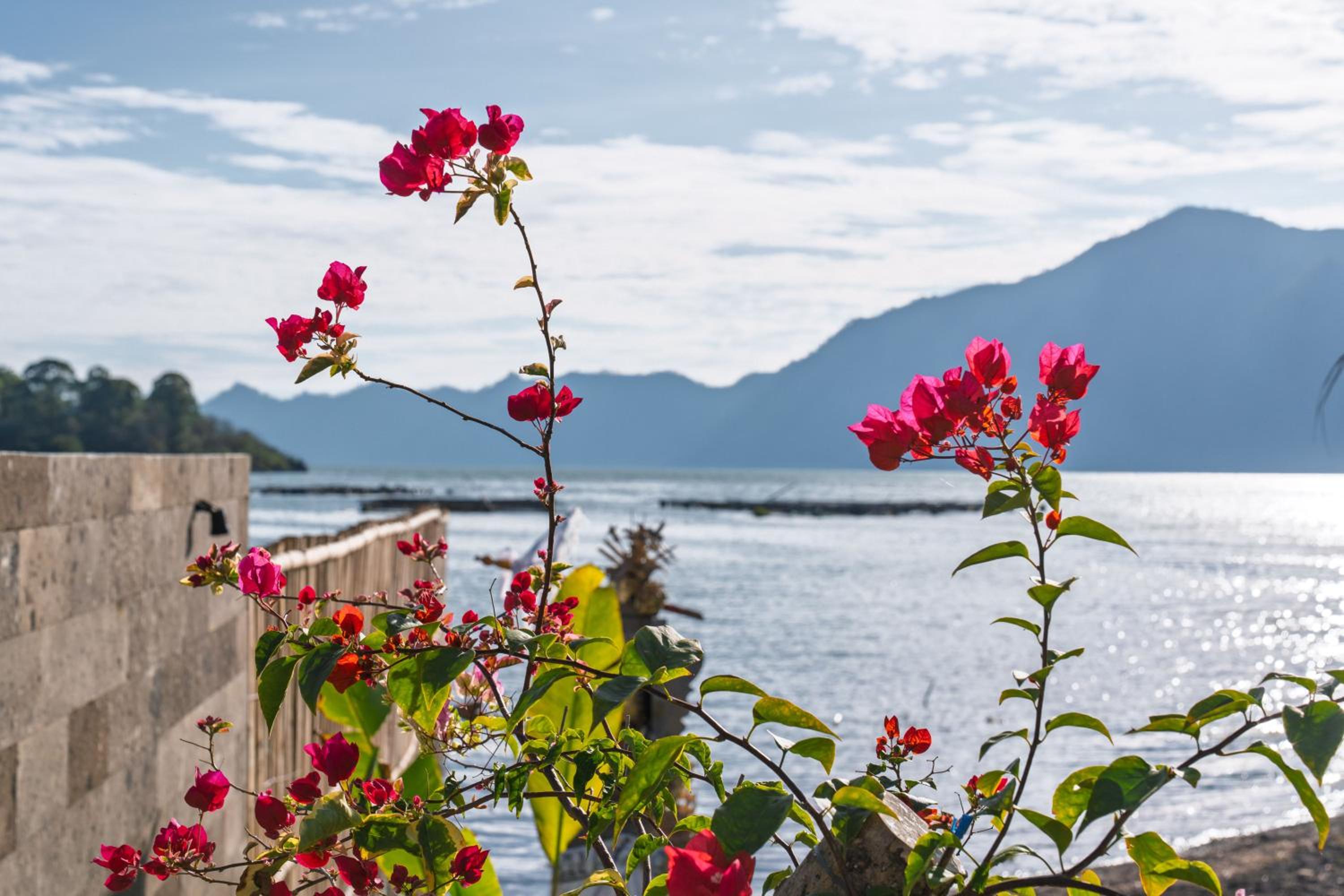 Tribhuwana Padma Lake Resort