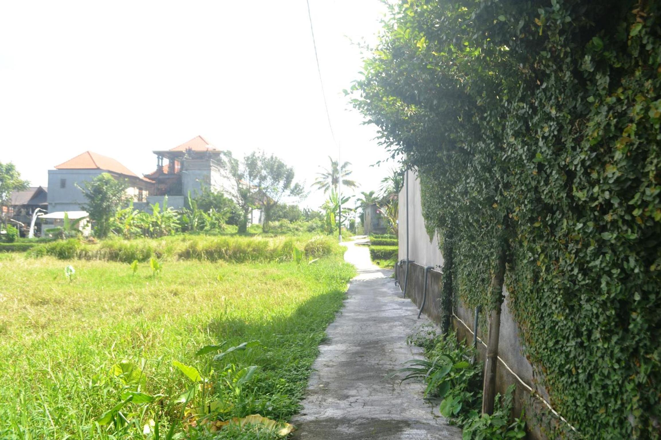 Uma Kutuh 2