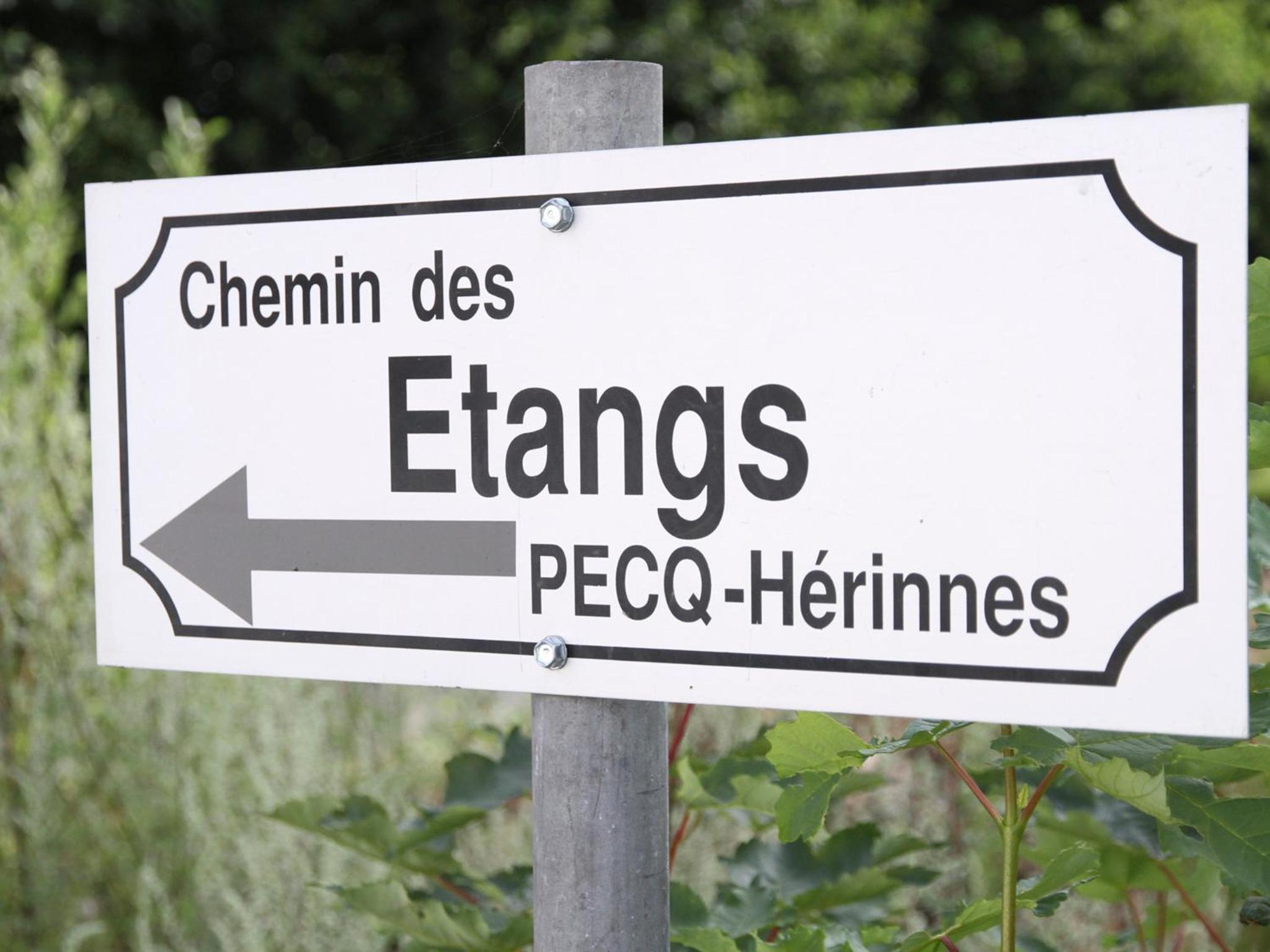 Terre d'Ô