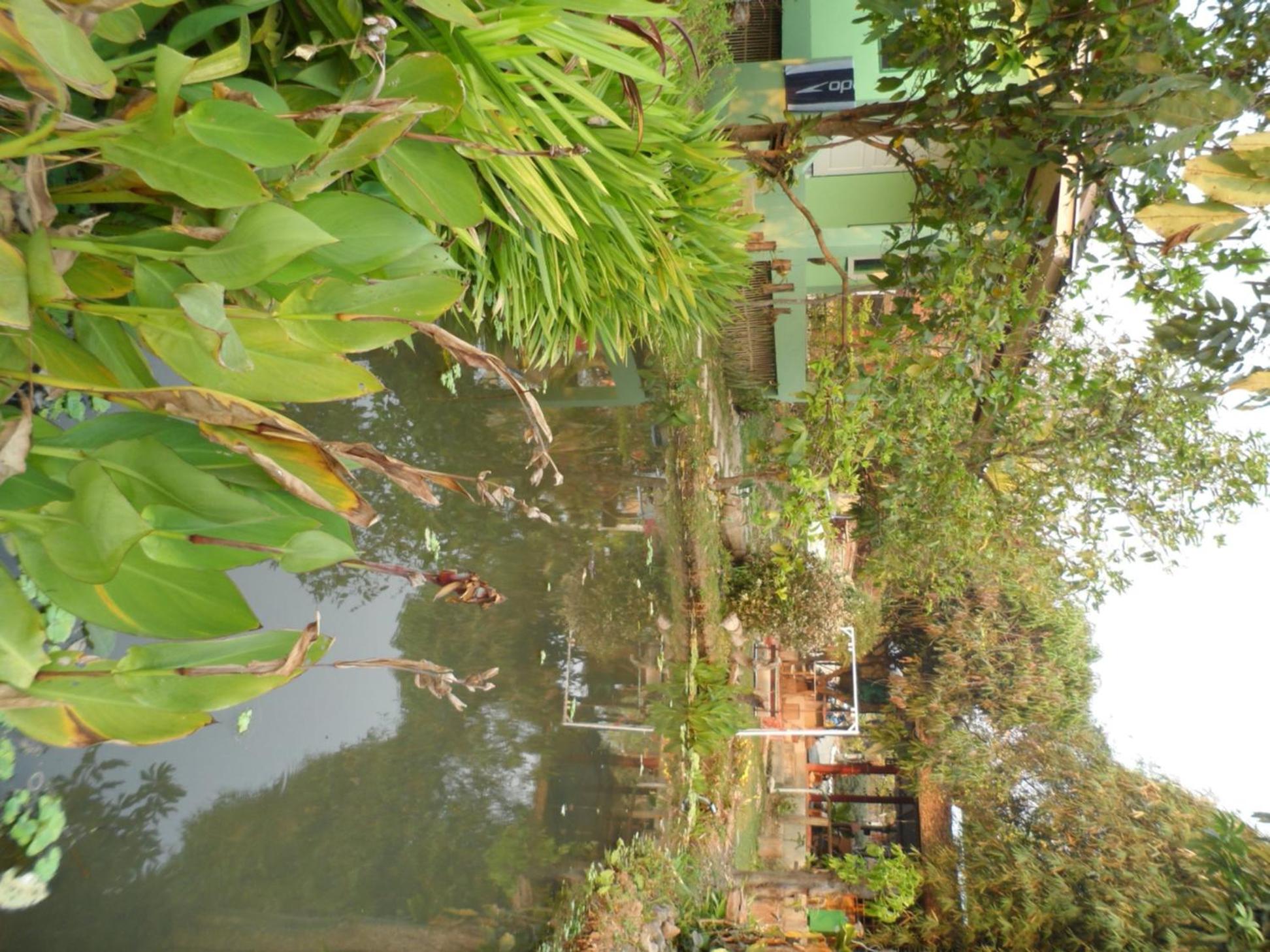 Photo 27