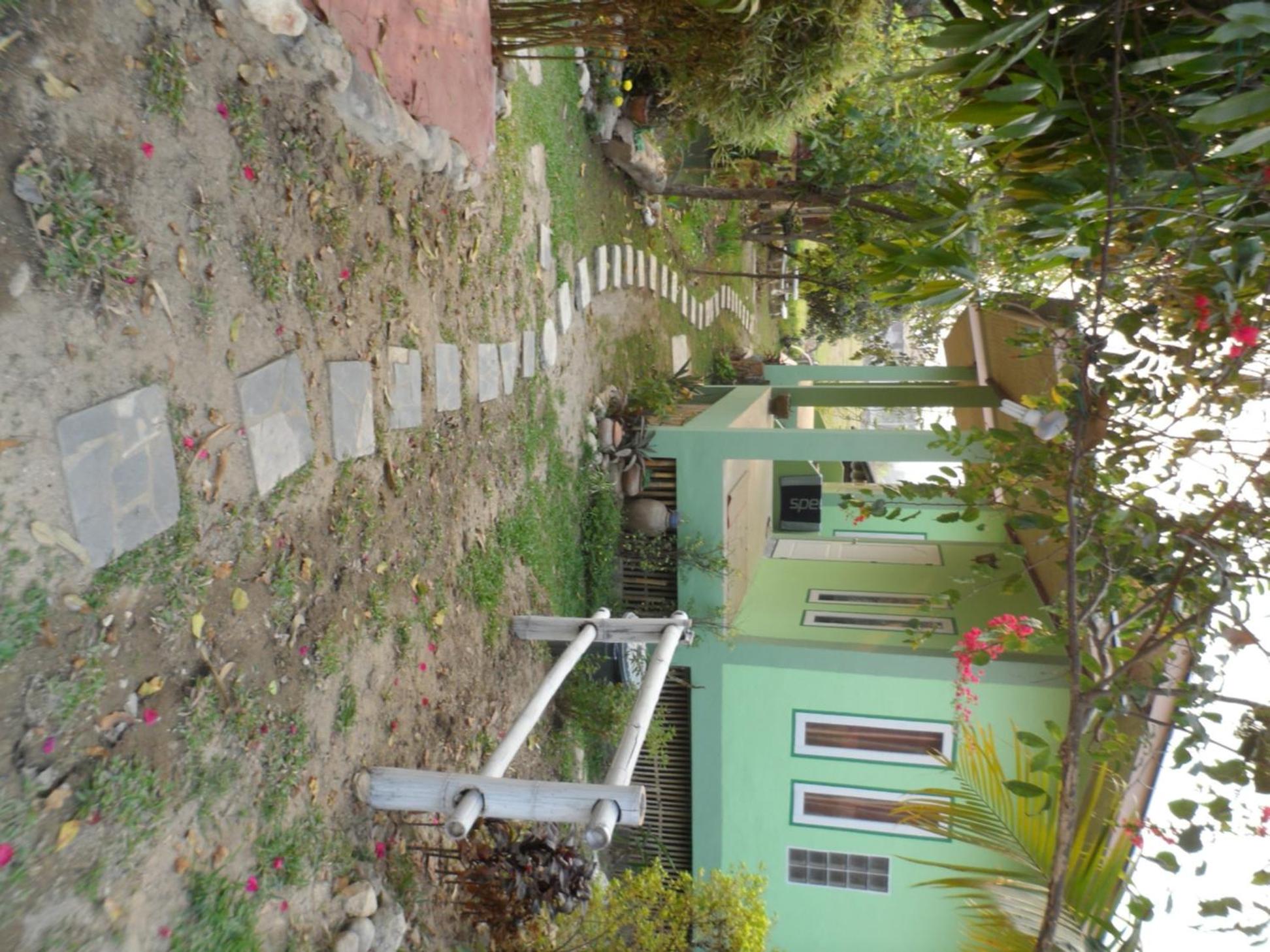 Photo 61