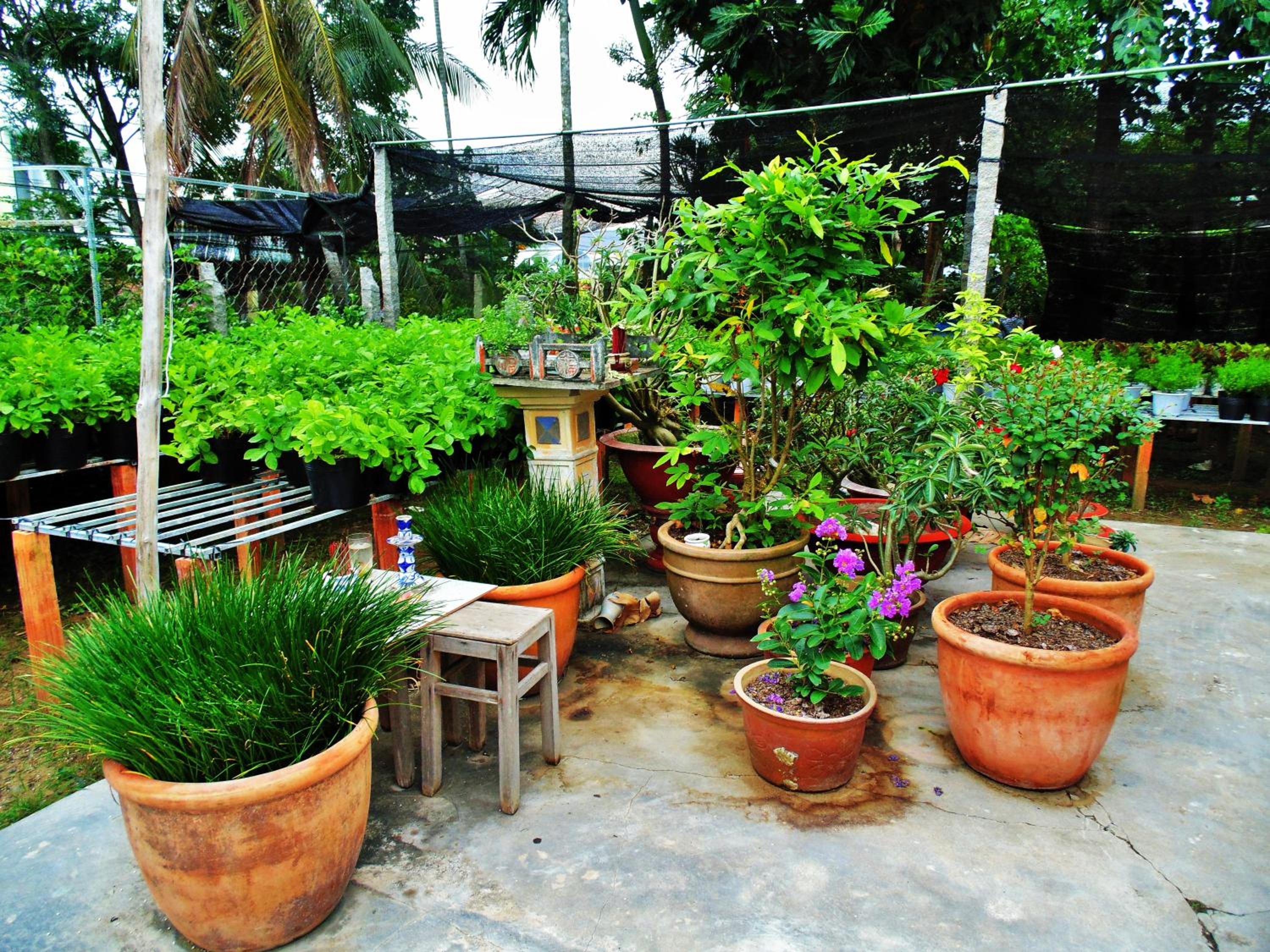 Flower & Frog Homestay