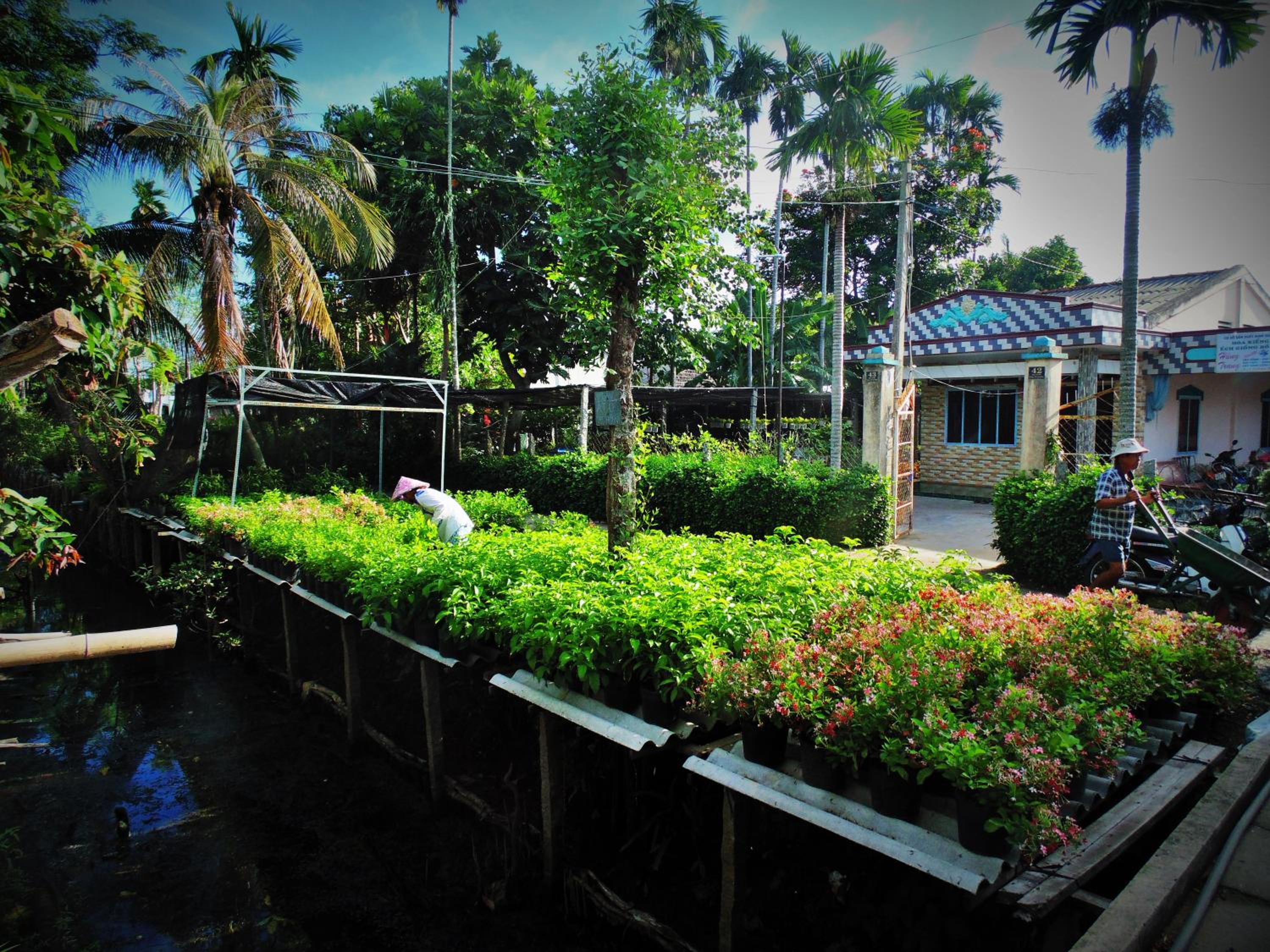 Flower & Frog Homestay