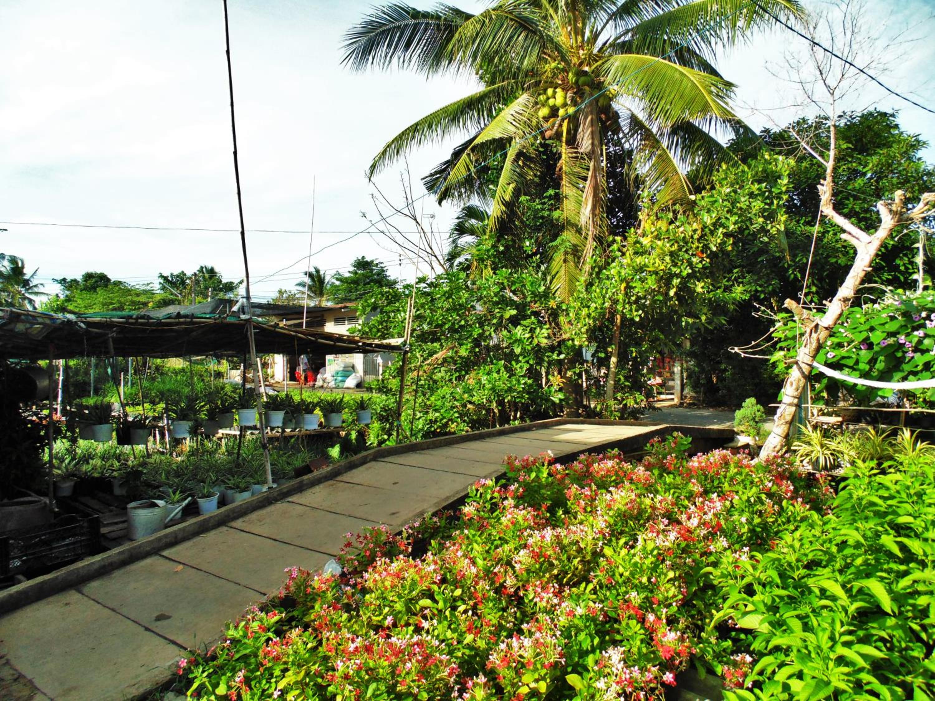 Flower & Frog Homestay