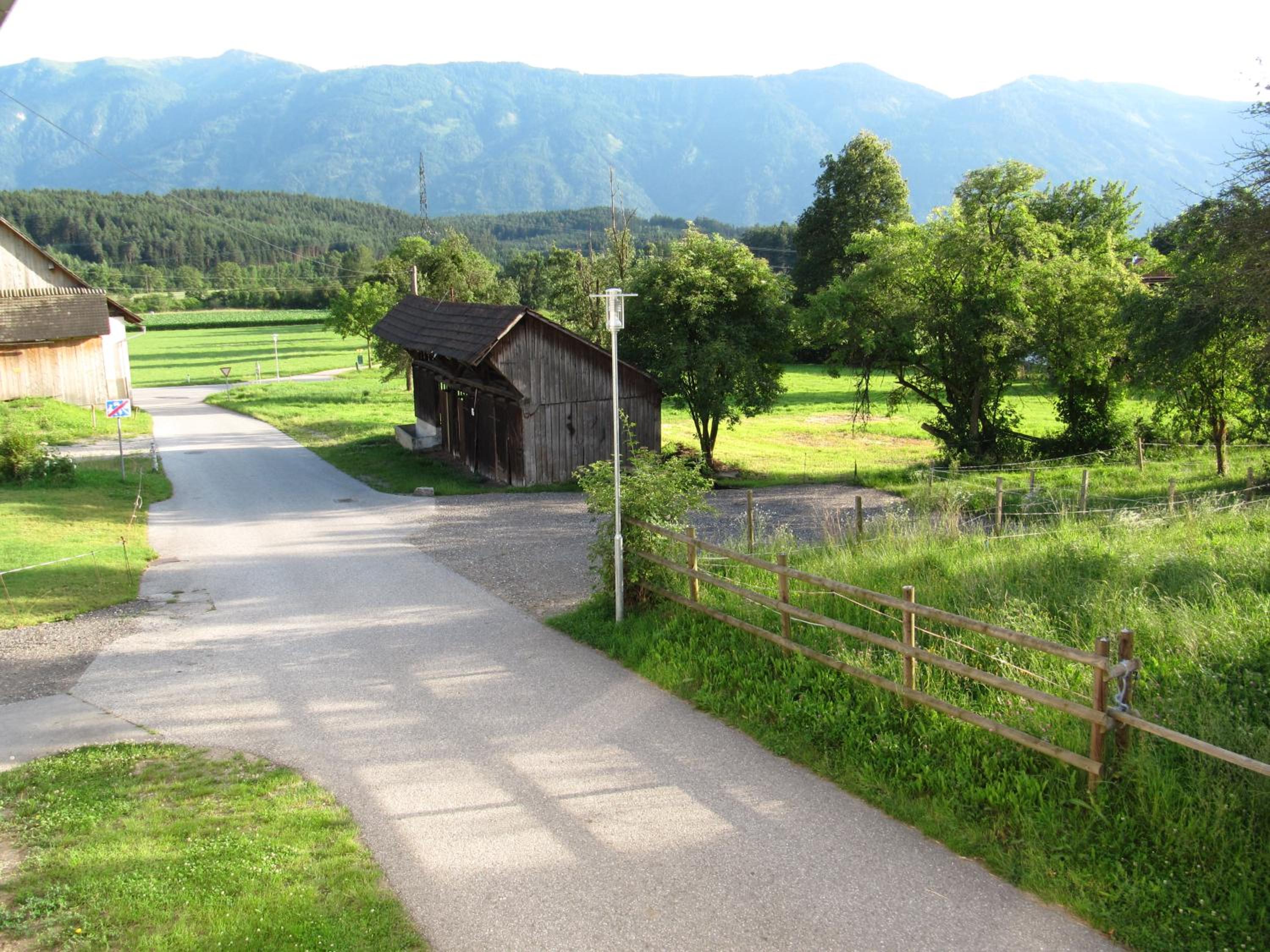 Photo 43