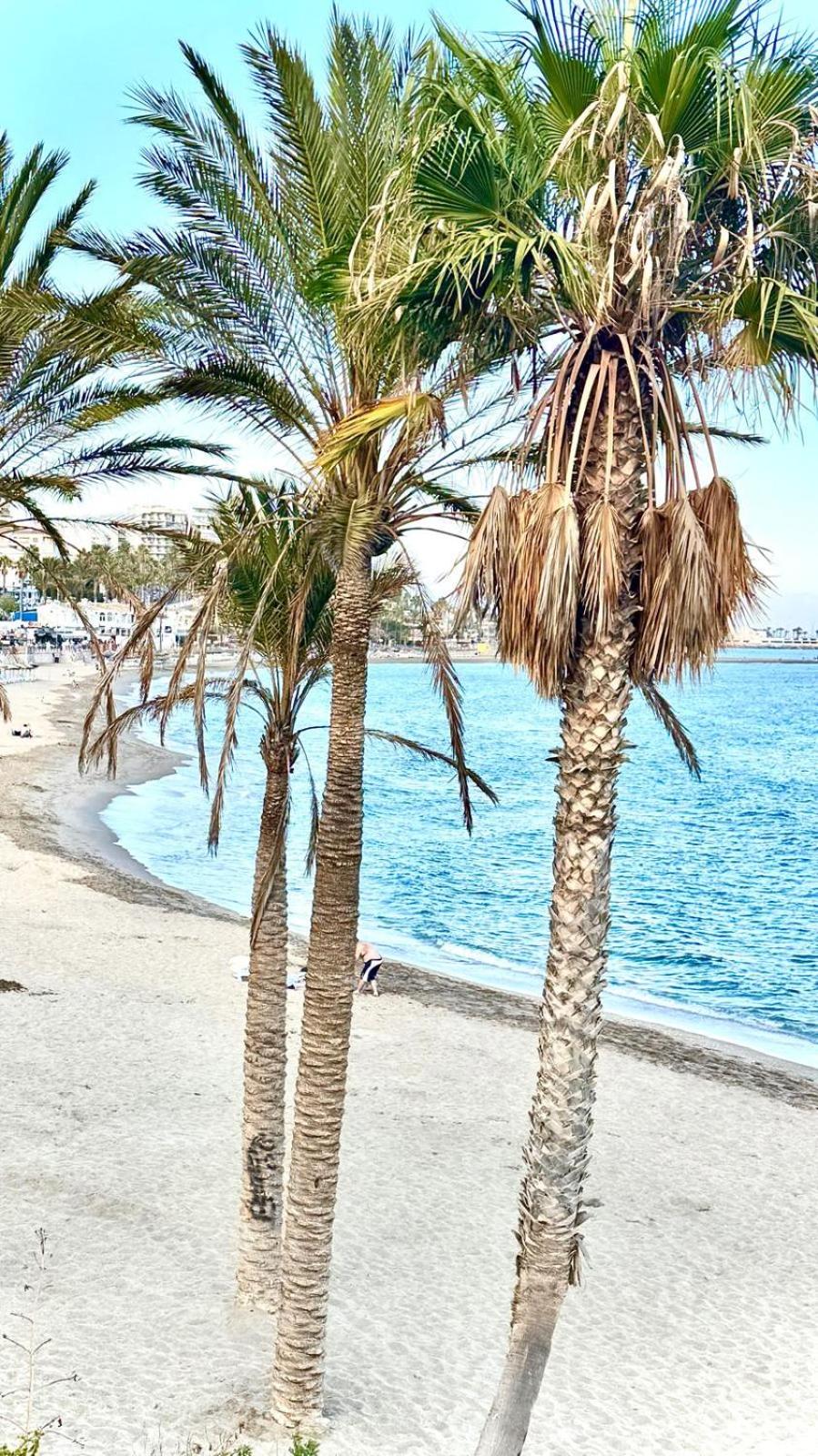BENALBEACH Vista al Mar