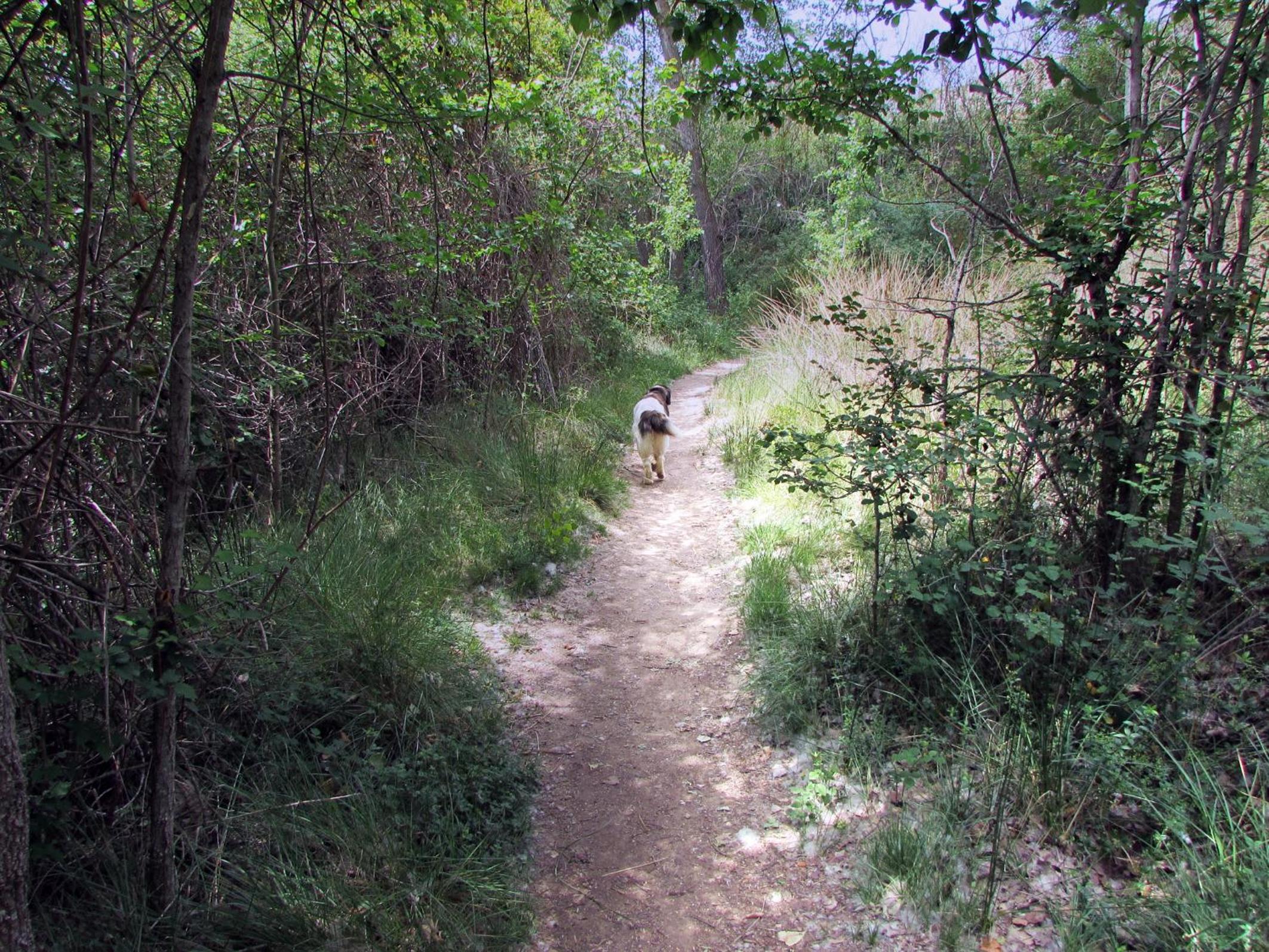 Photo 21
