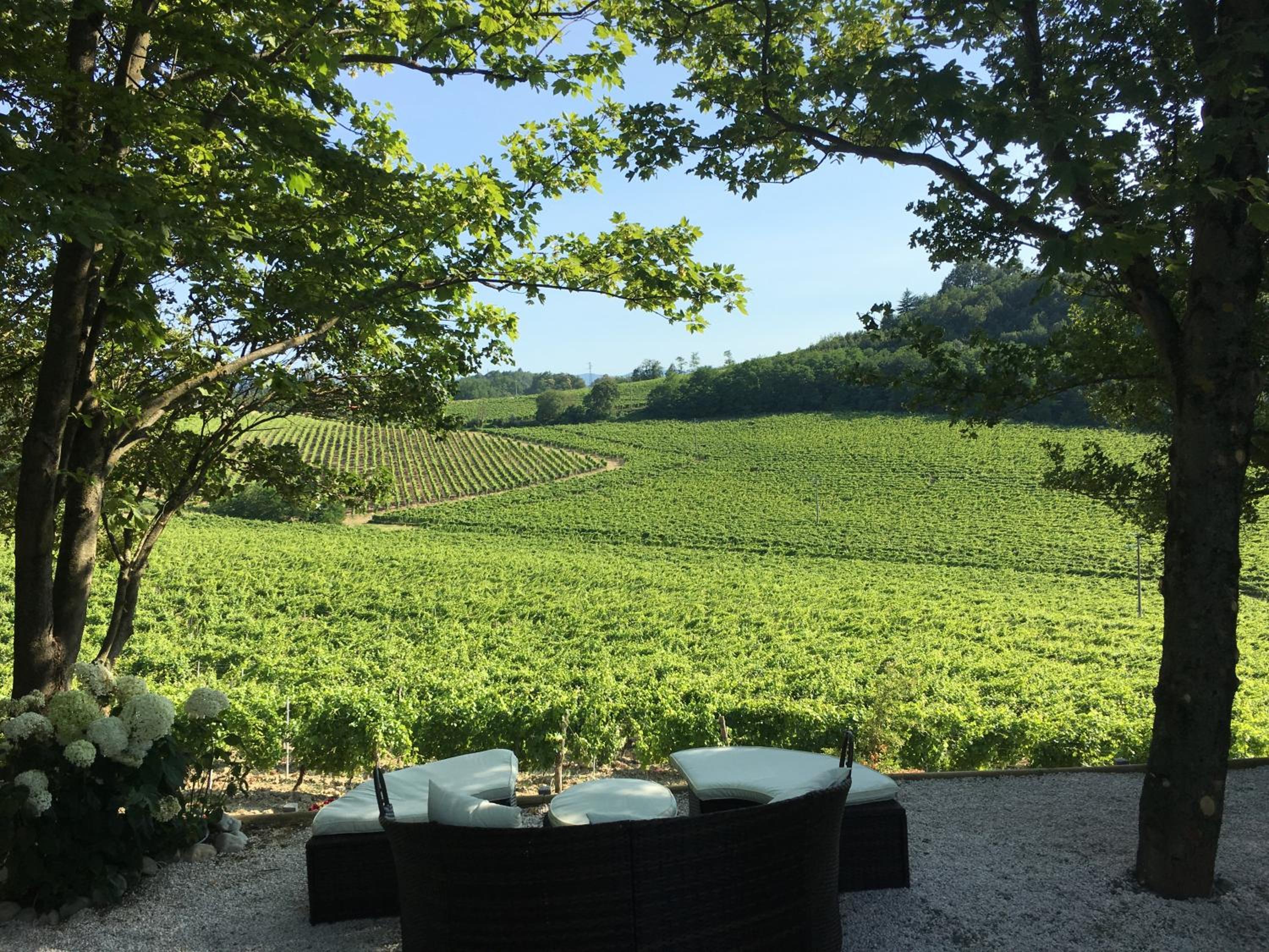 Tenuta La Meirana Gavi