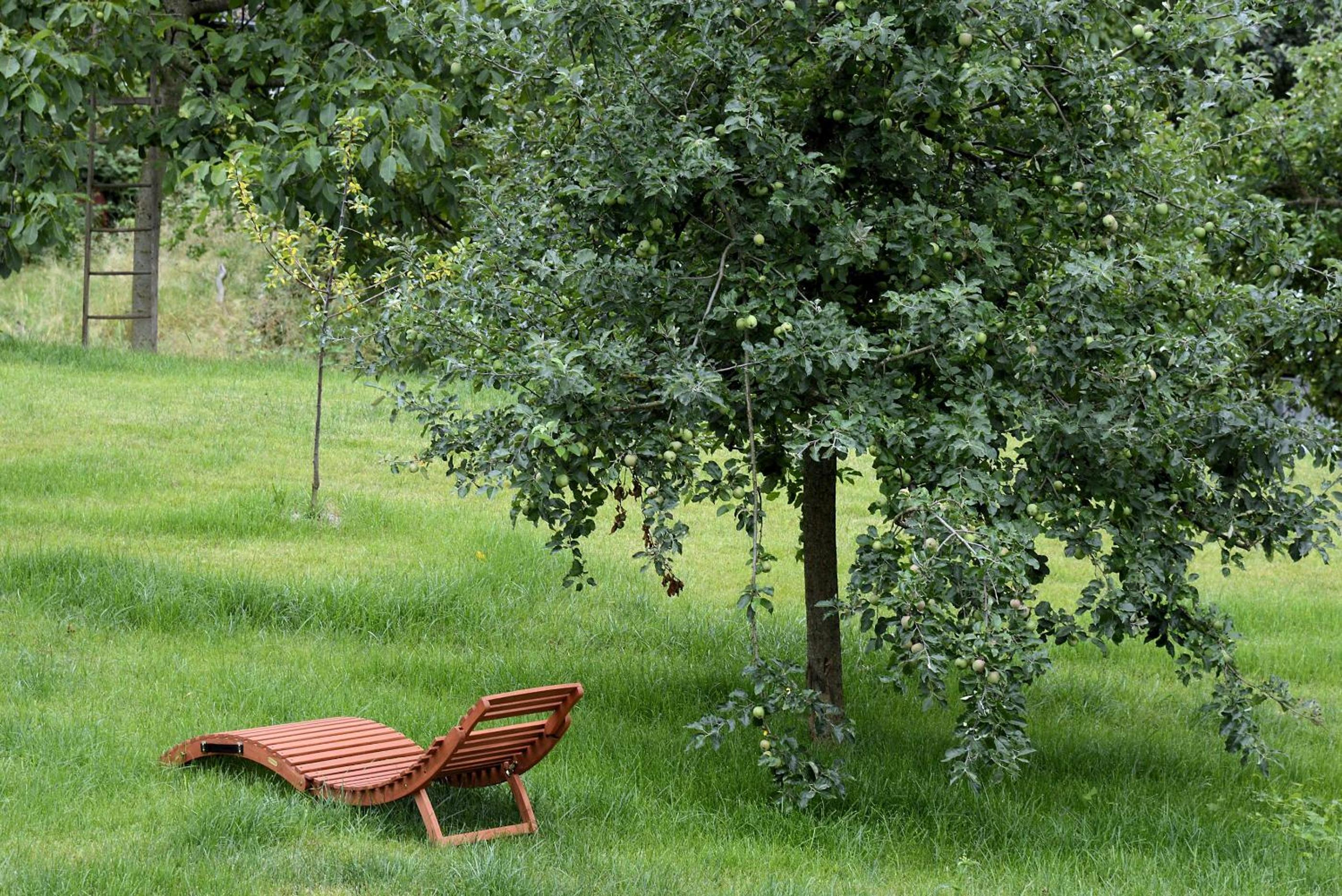 Am Paradies