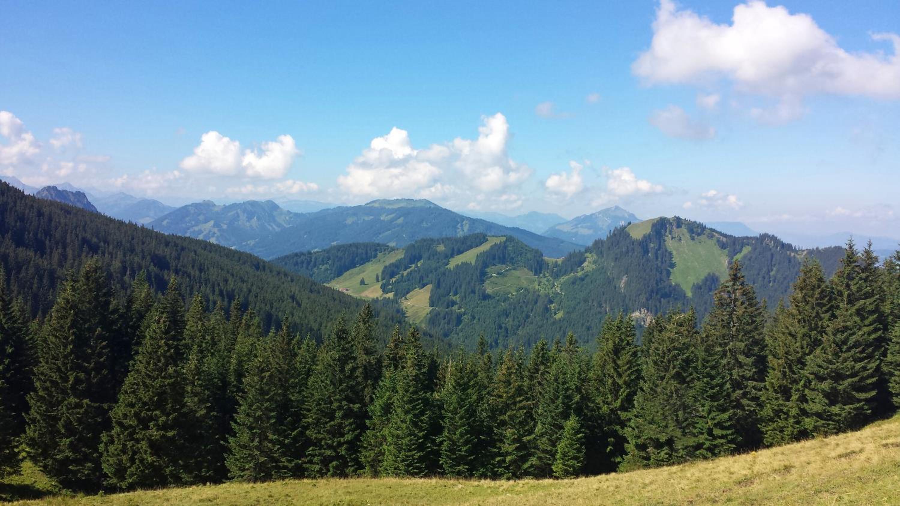 Haus Hindelang - 2 FeWos mit Zugspitzblick, inkl Königscard, gratis Parken & WLAN, Self Check-In, 5 Minuten ins Zentrum