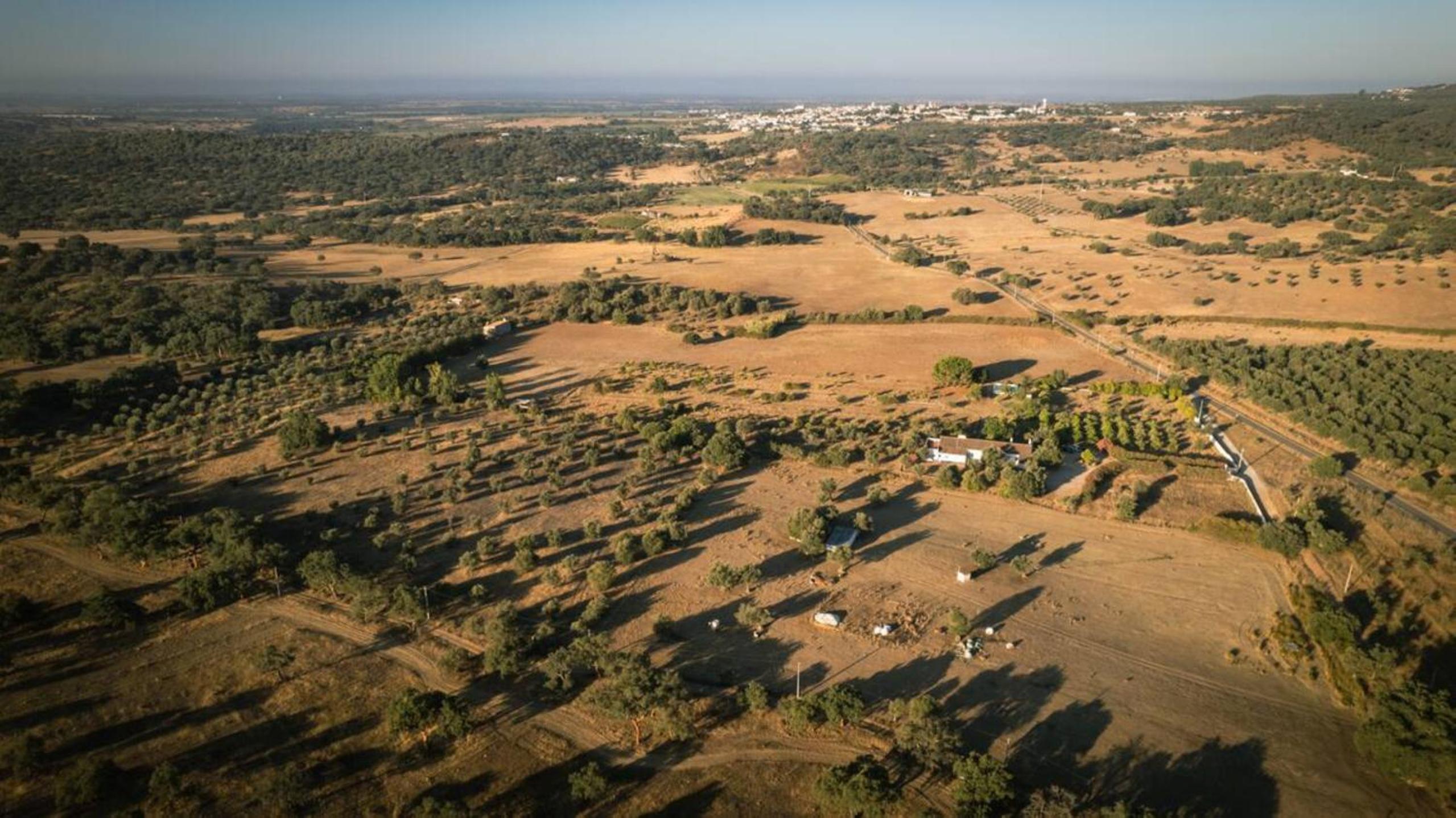 Casa Bungavilia - Roots of Alentejo
