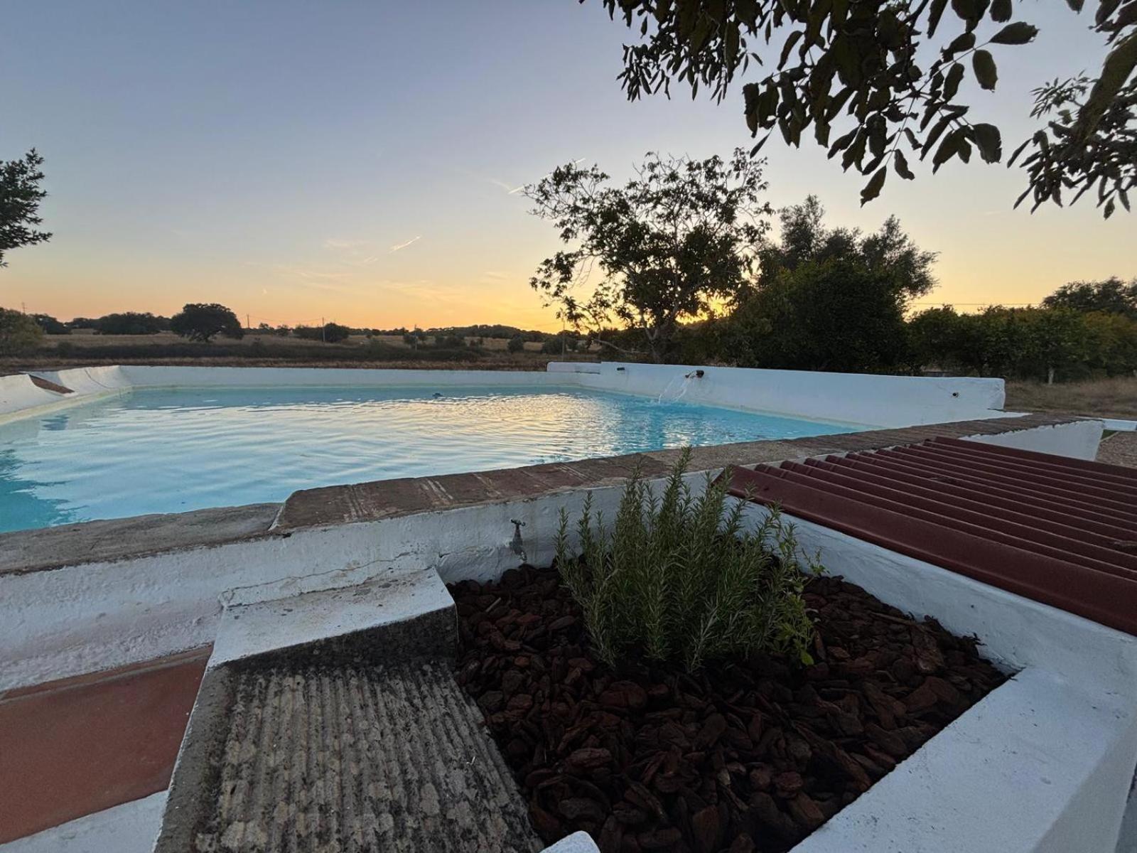 Casa Bungavilia - Roots of Alentejo