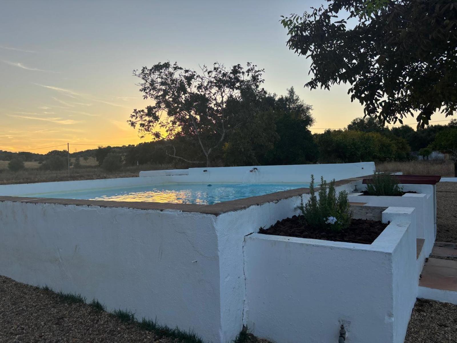 Casa Bungavilia - Roots of Alentejo