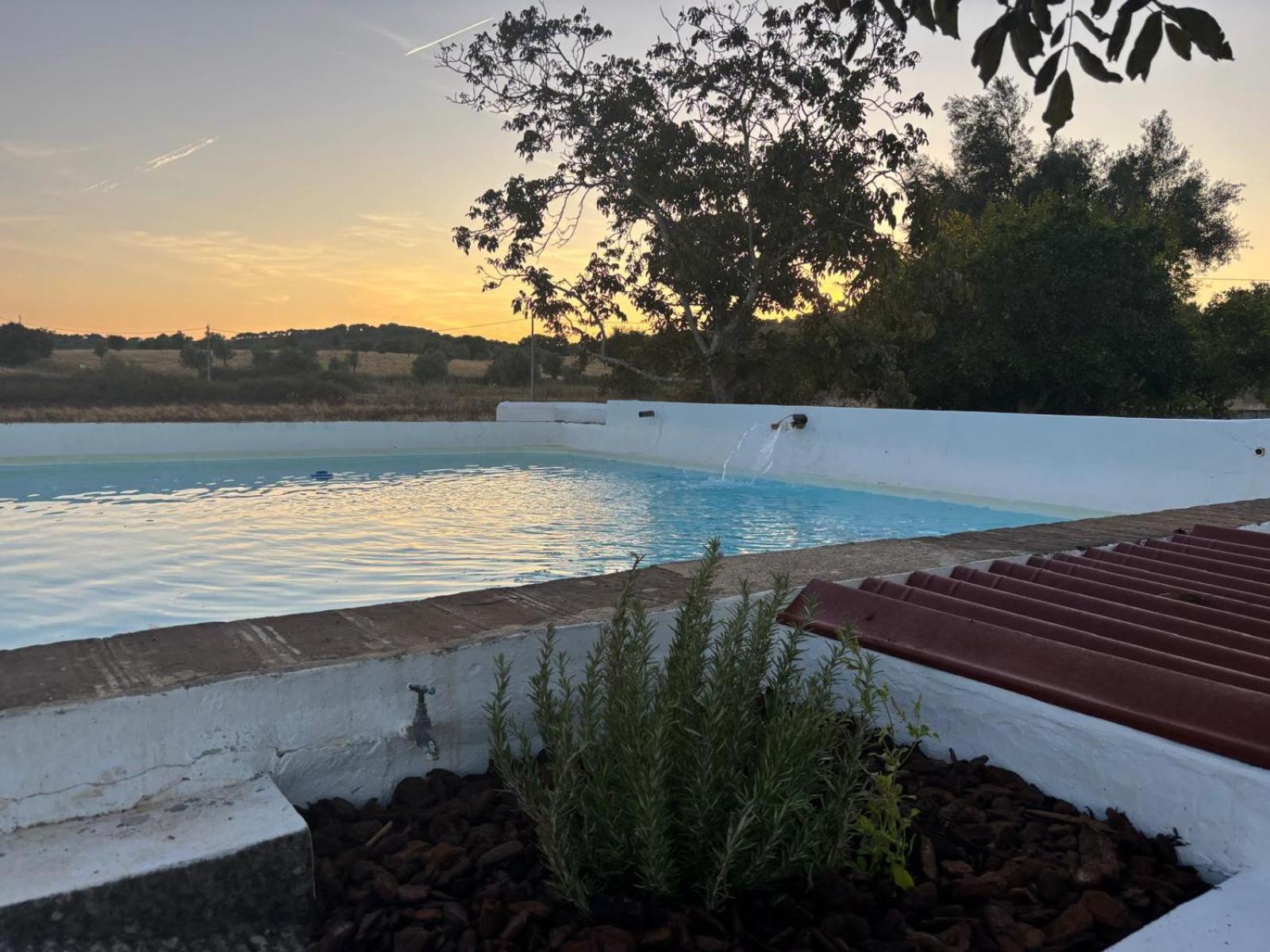 Casa Bungavilia - Roots of Alentejo