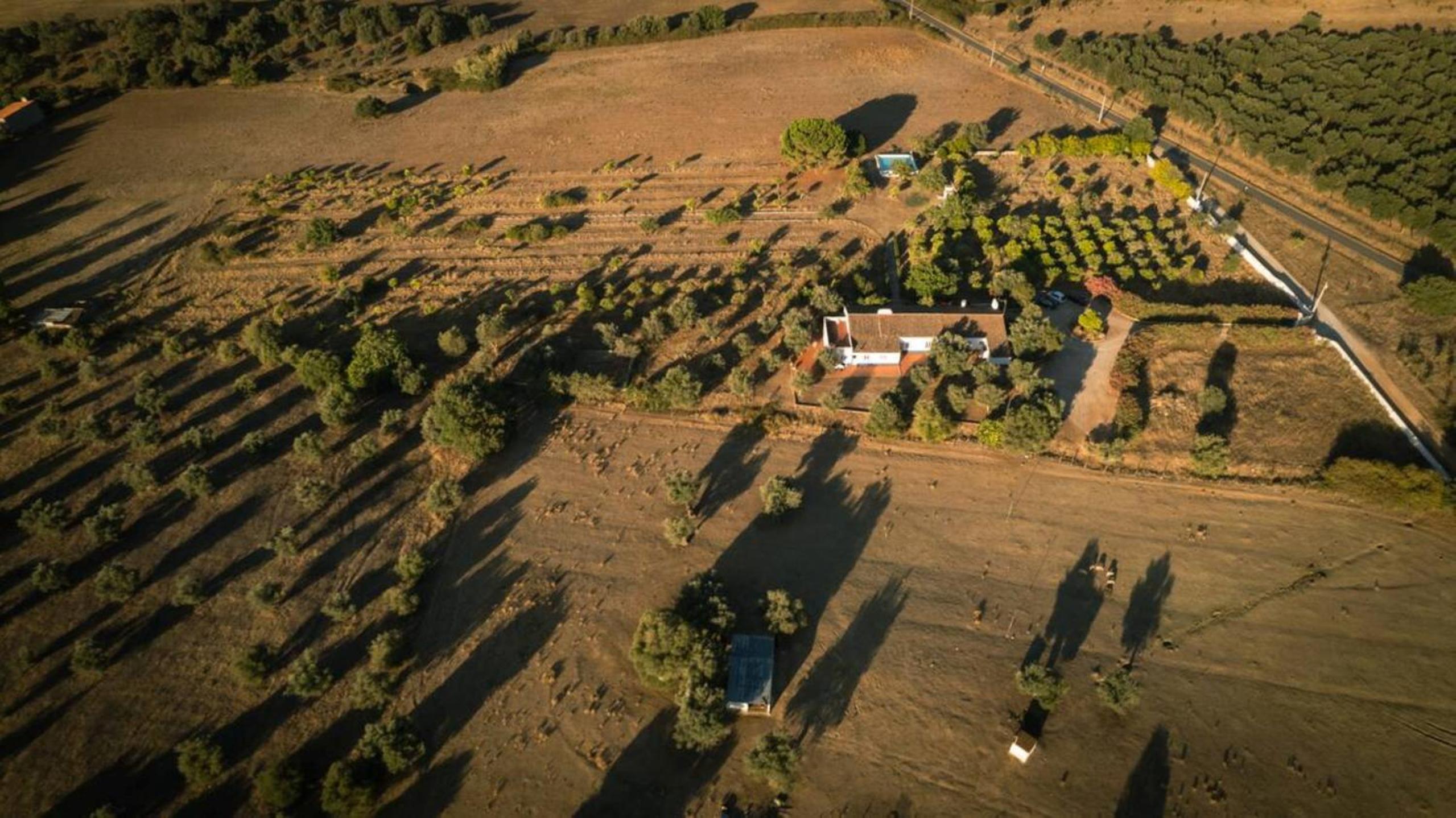 Casa Bungavilia - Roots of Alentejo