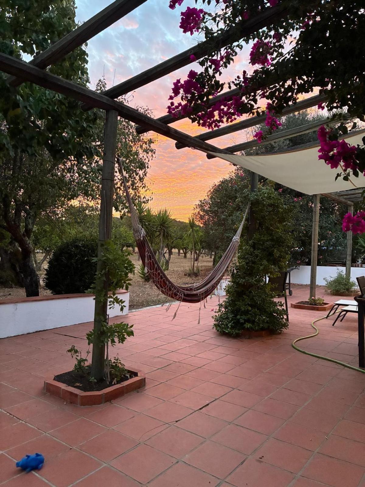 Casa Bungavilia - Roots of Alentejo