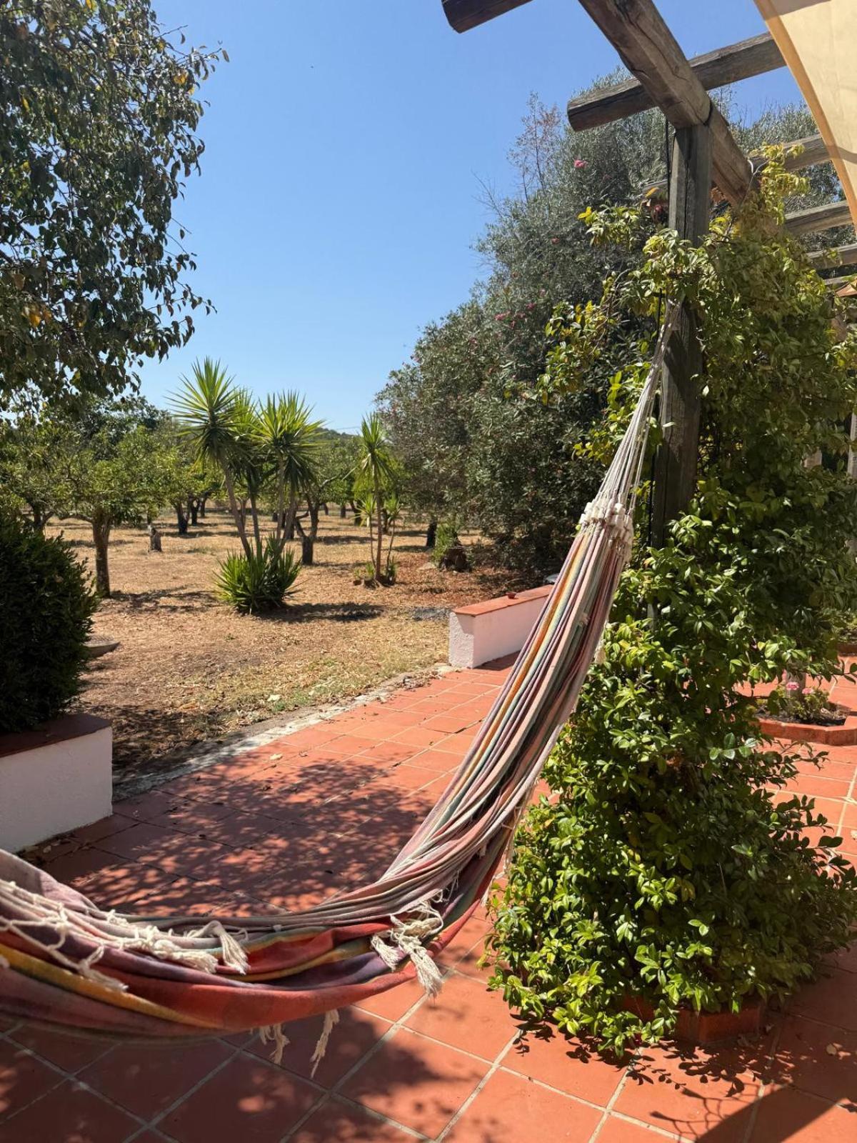 Casa Bungavilia - Roots of Alentejo