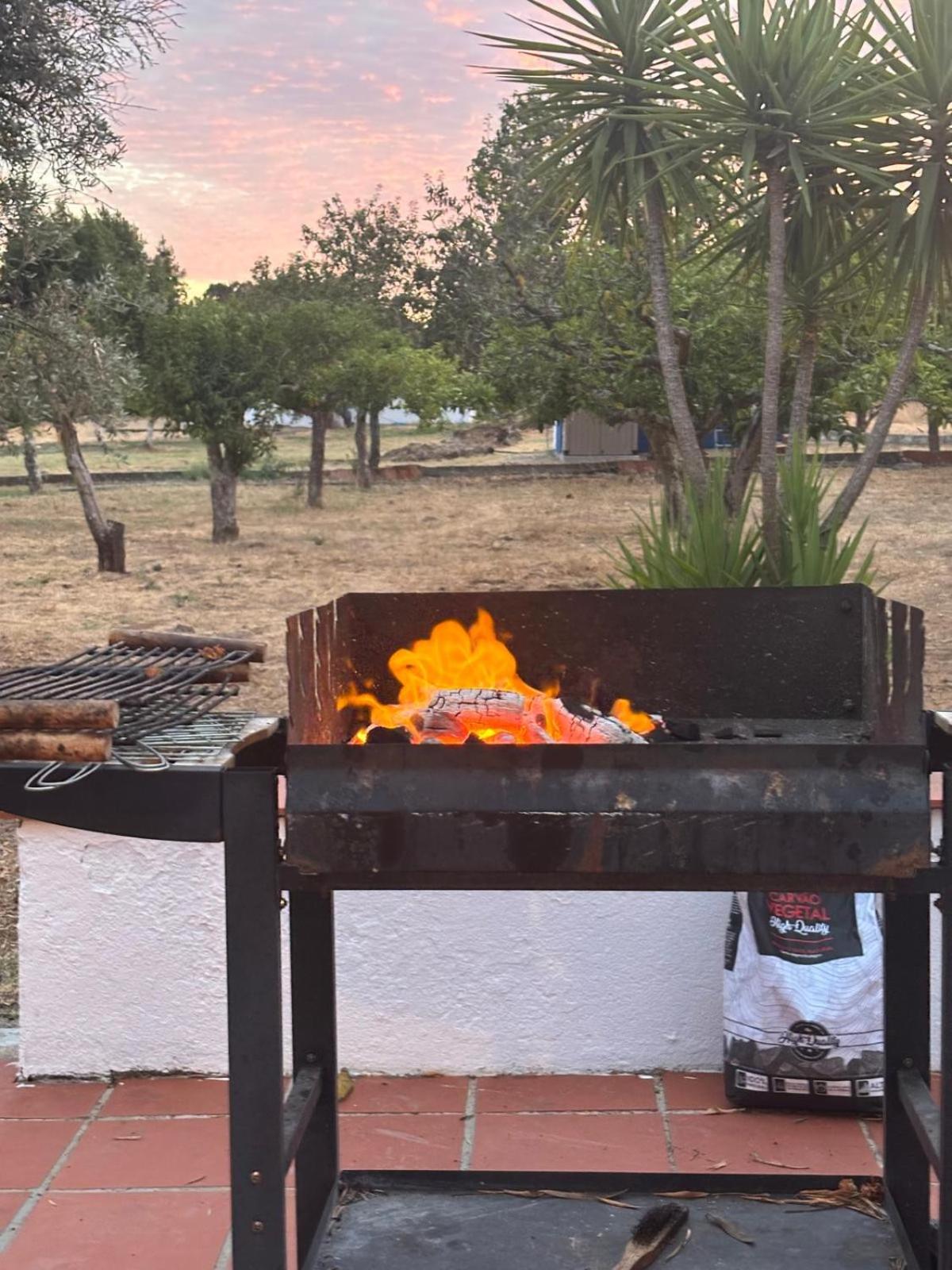 Casa Bungavilia - Roots of Alentejo