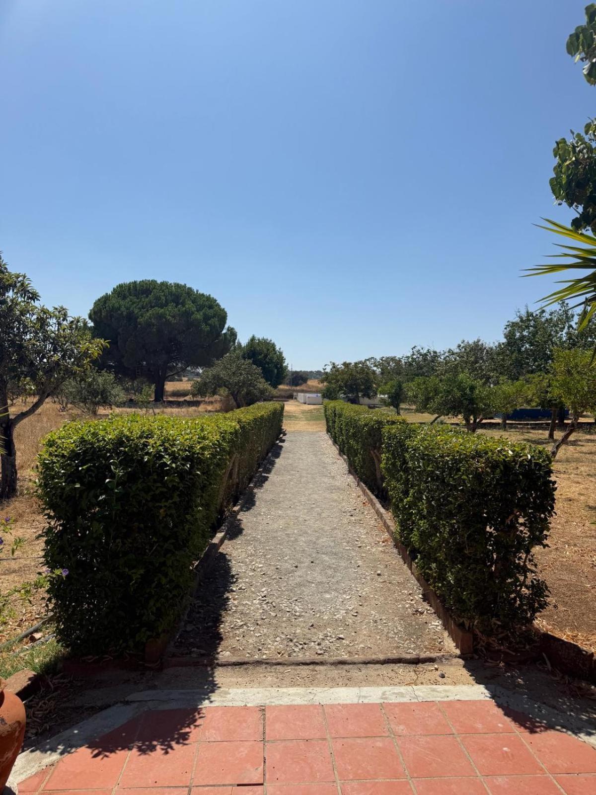 Casa Bungavilia - Roots of Alentejo