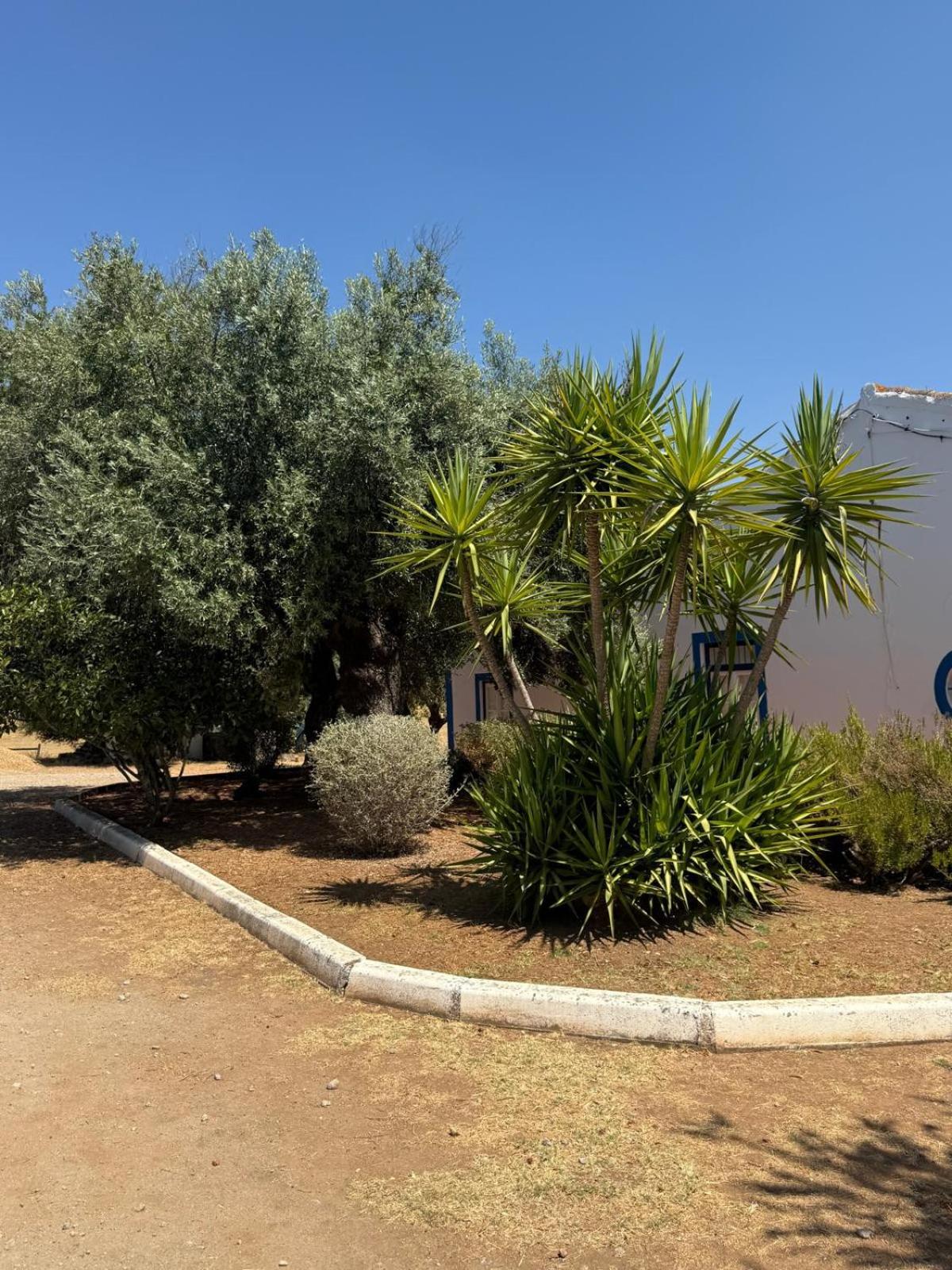 Casa Bungavilia - Roots of Alentejo