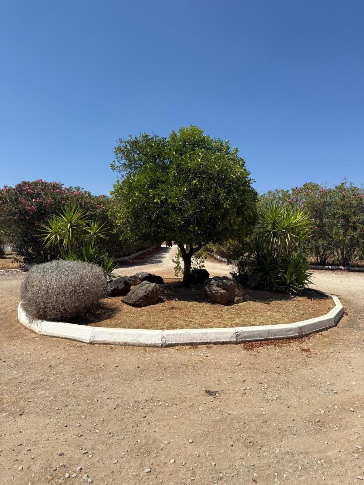 Casa Bungavilia - Roots of Alentejo