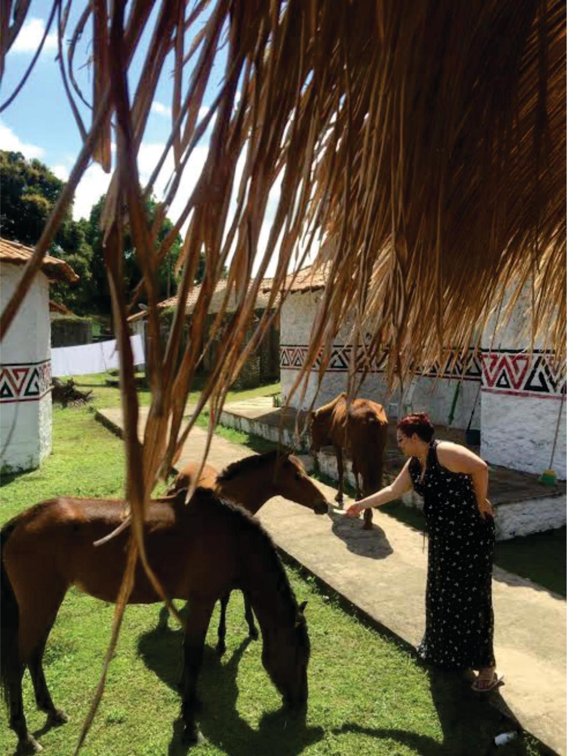 Pousada Marajoara- Hotel Fazenda-Turismo de Aventura