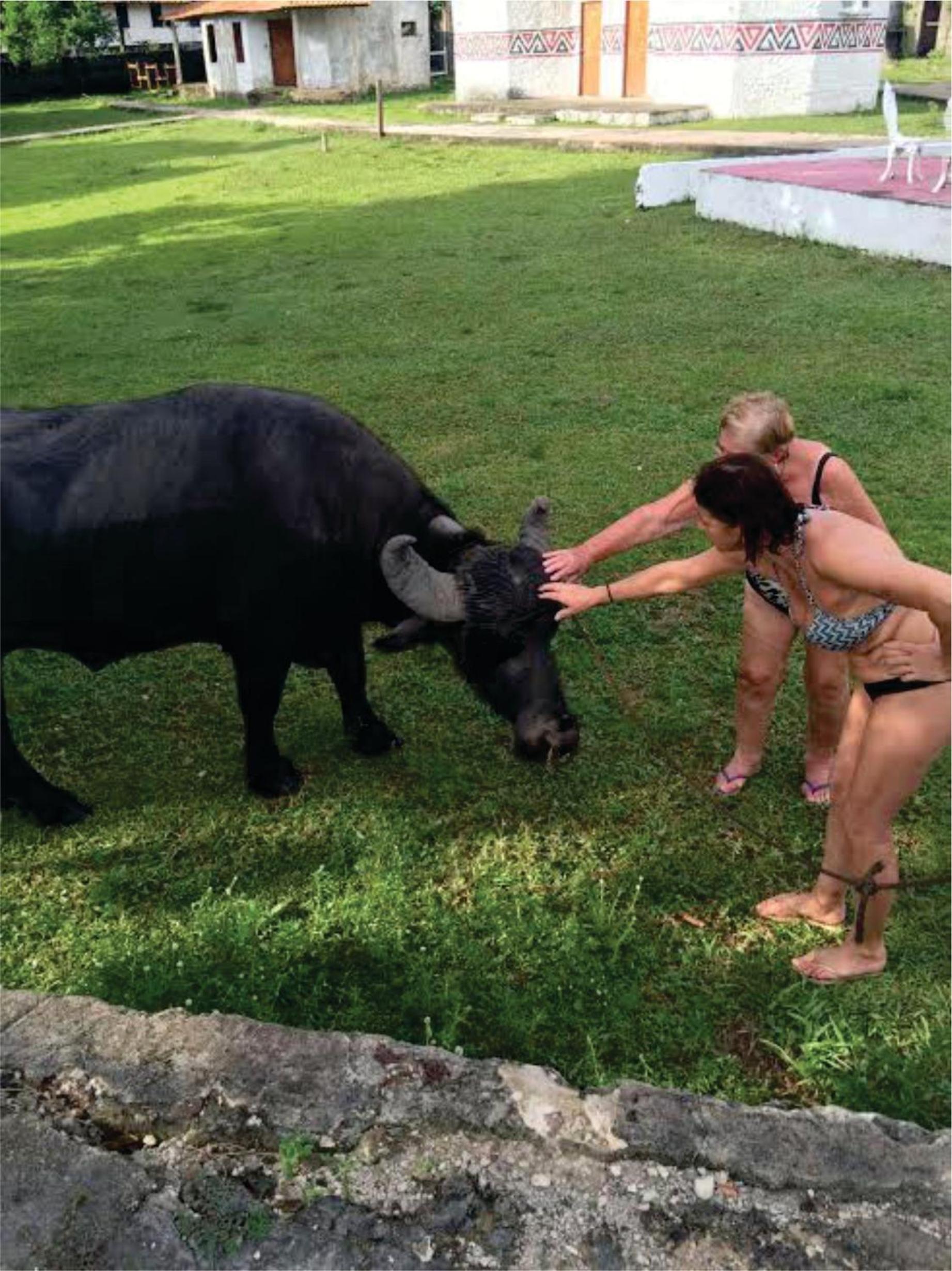 Pousada Marajoara- Hotel Fazenda-Turismo de Aventura