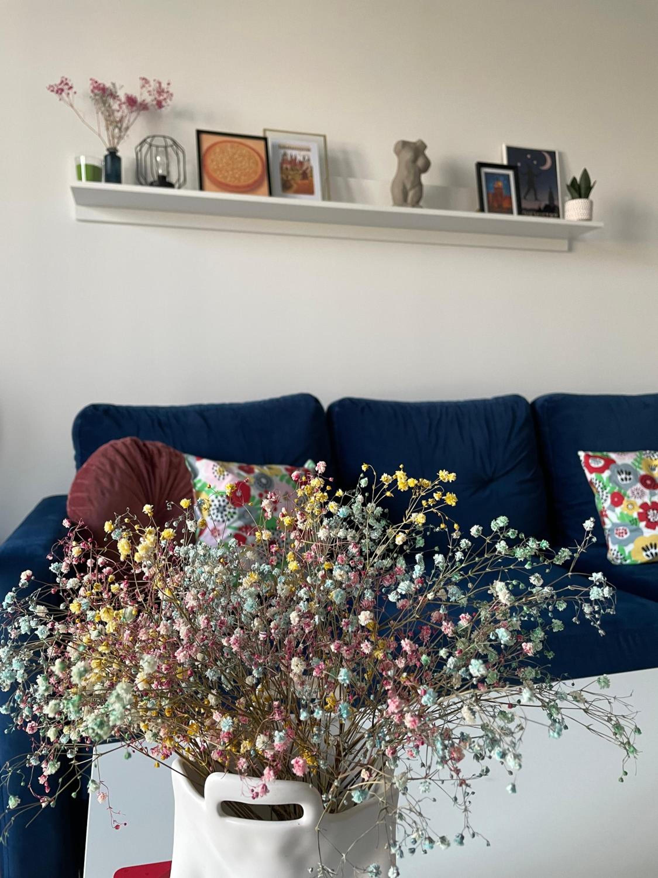 Apartament Koziołkowy