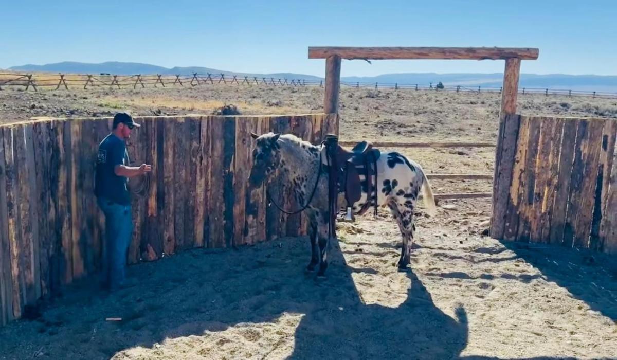 Sheep Creek Ranch Apartment