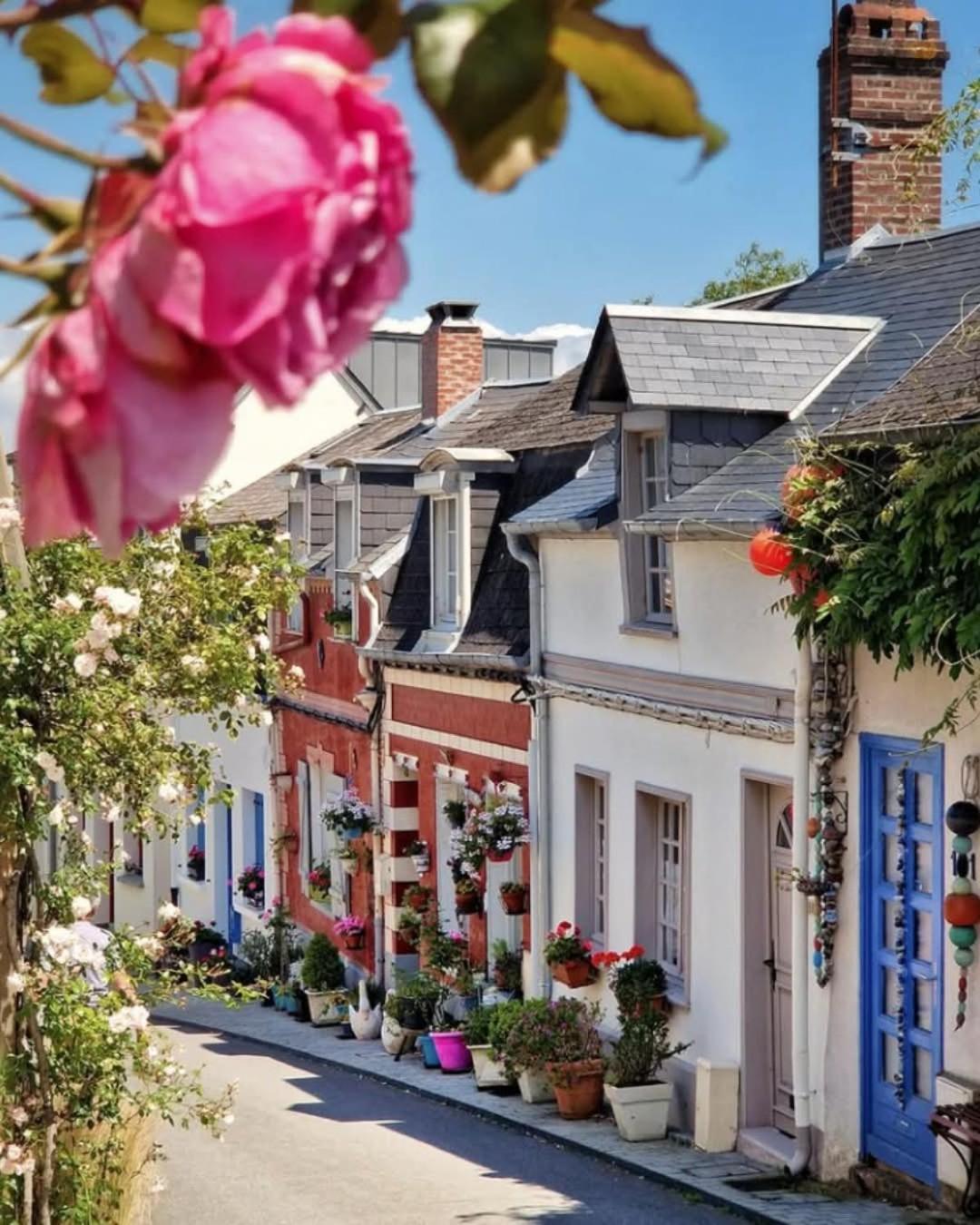 La Maison Enzo