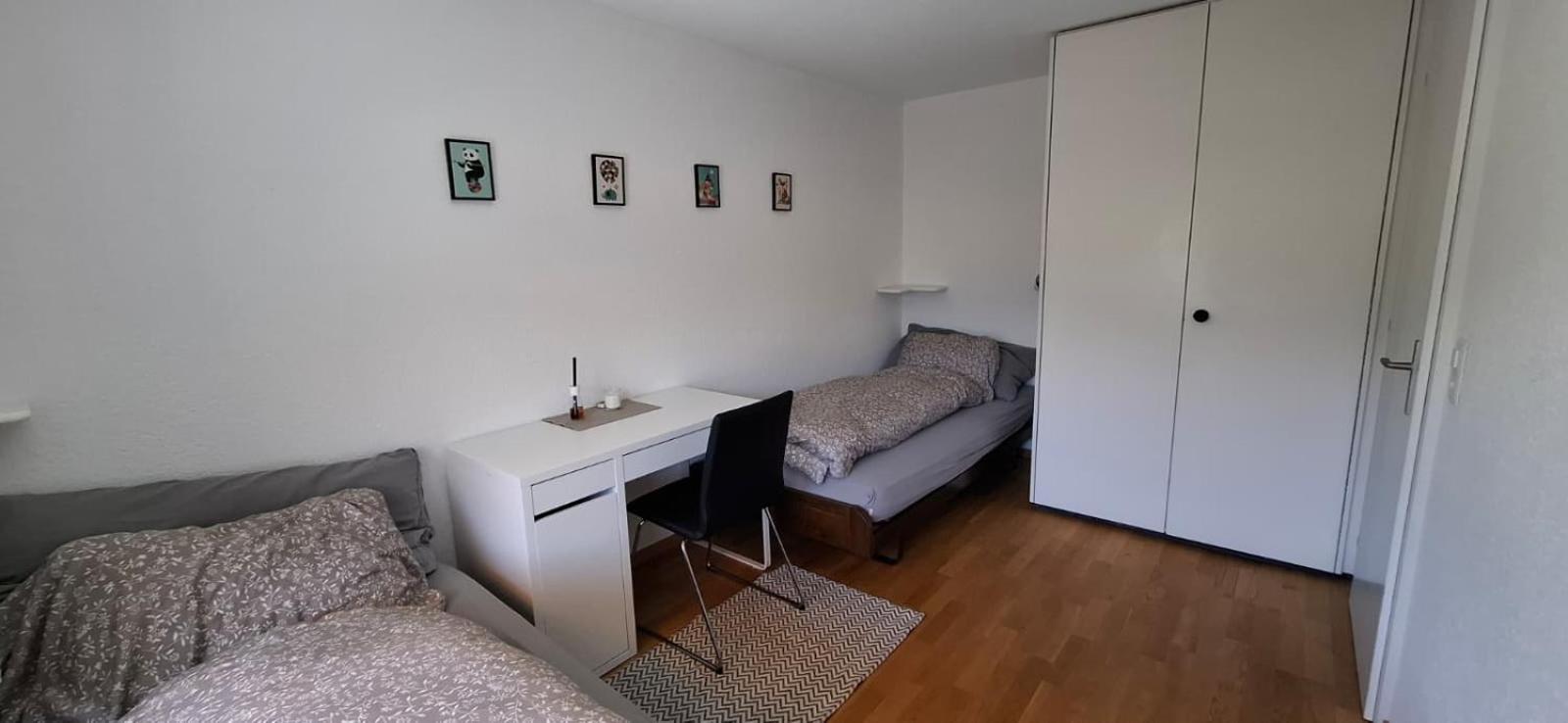 Ski Season - 3 Bedroom Apartment - Stunning View - Lenk