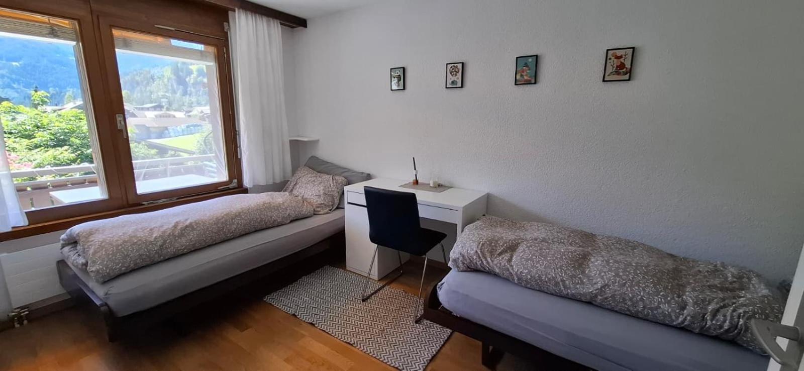 Ski Season - 3 Bedroom Apartment - Stunning View - Lenk