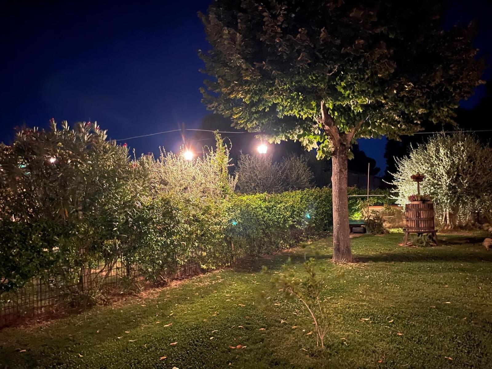 Il Tiglioré
