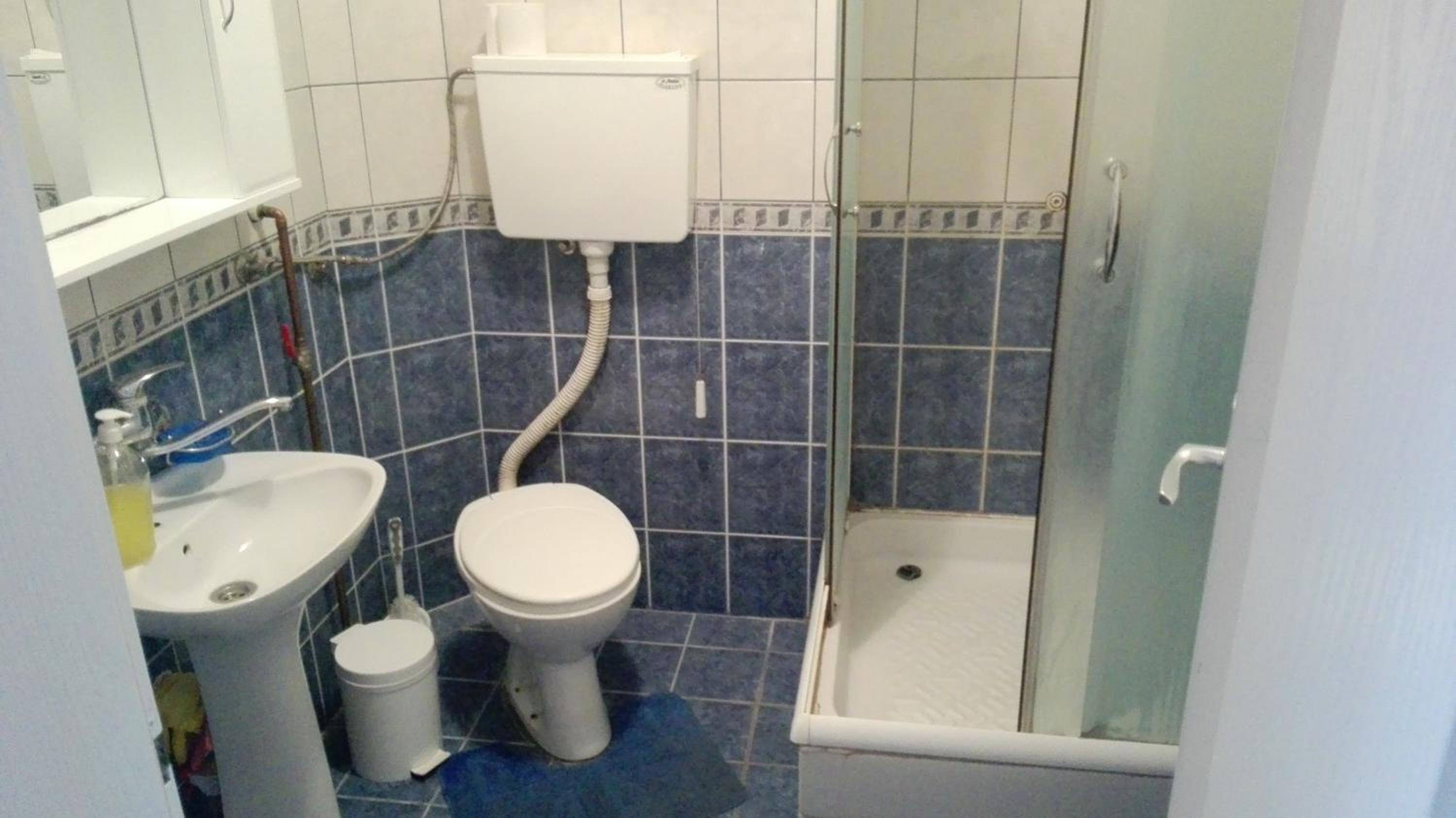 Guest House Trajkovic Jagodina view 3