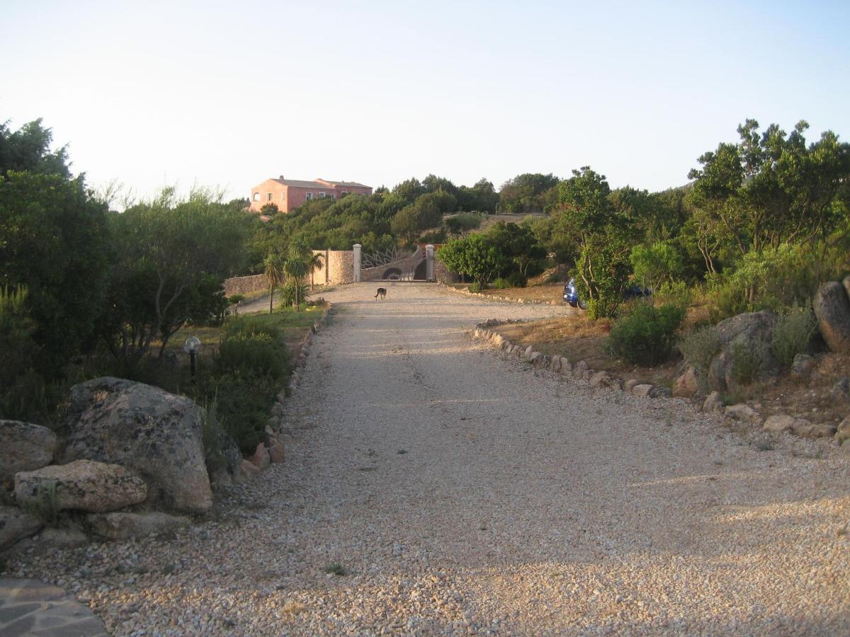 Photo 41