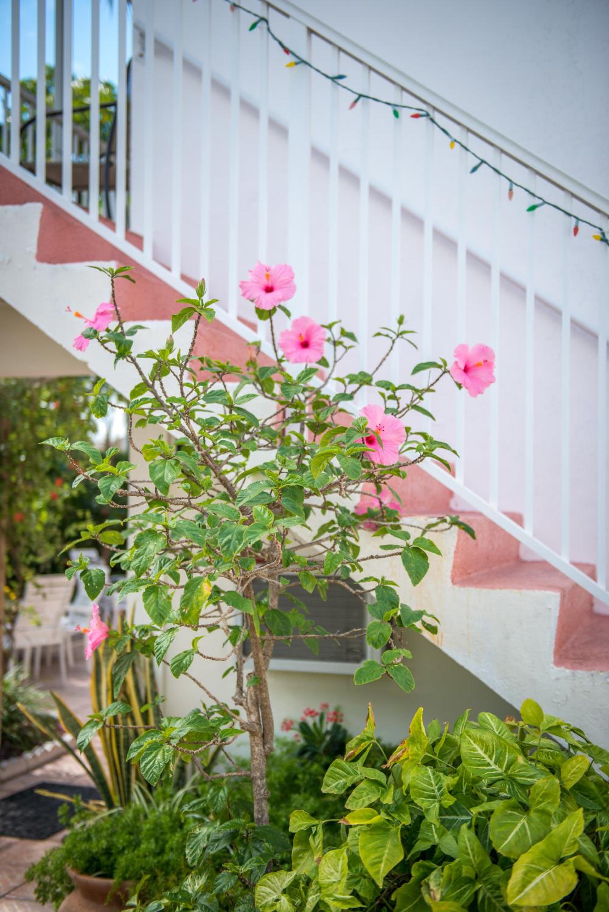 Fort Lauderdale Vacations - Shore Haven Resort Inn - Property Image 9