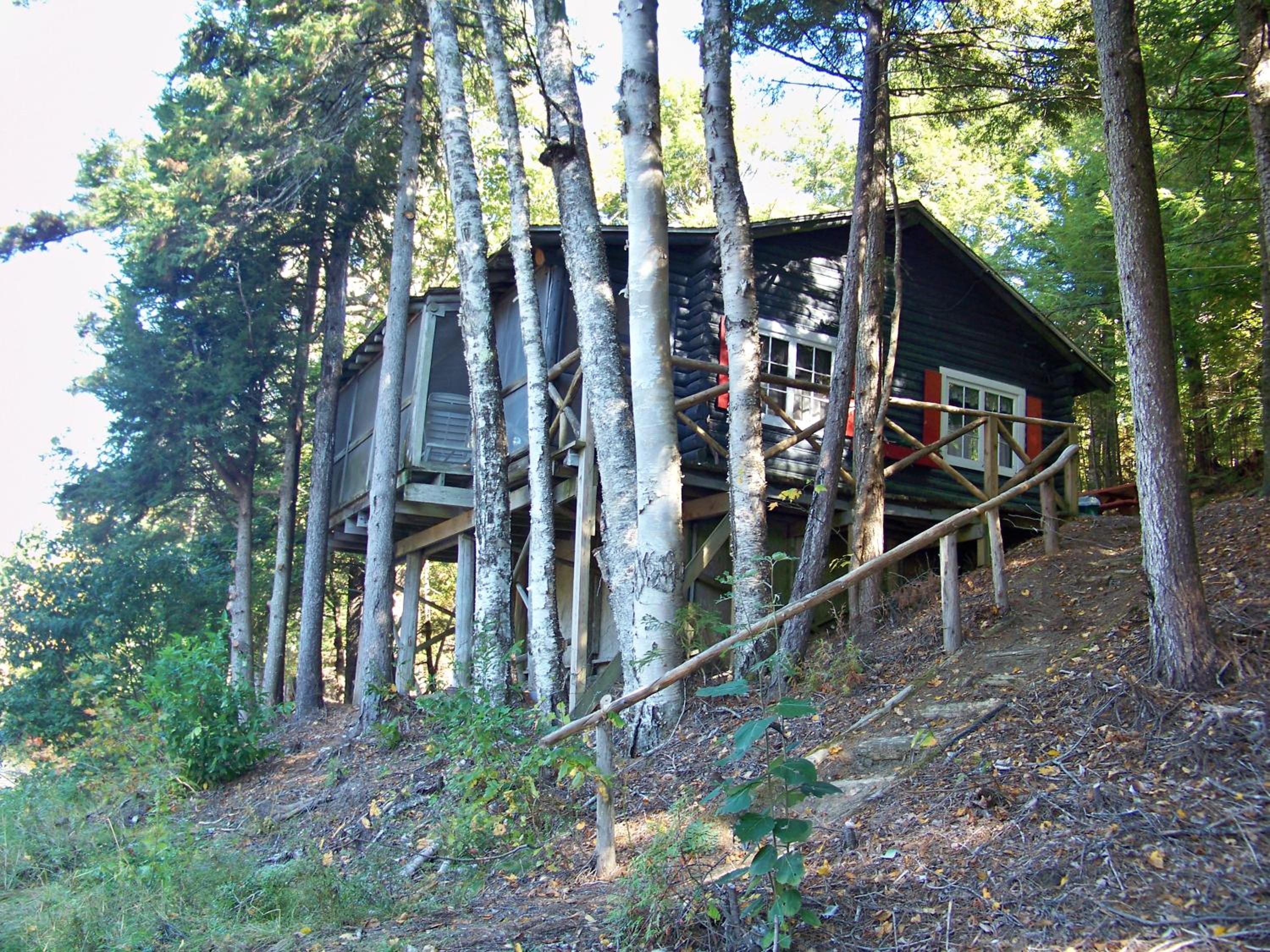 Photo 42