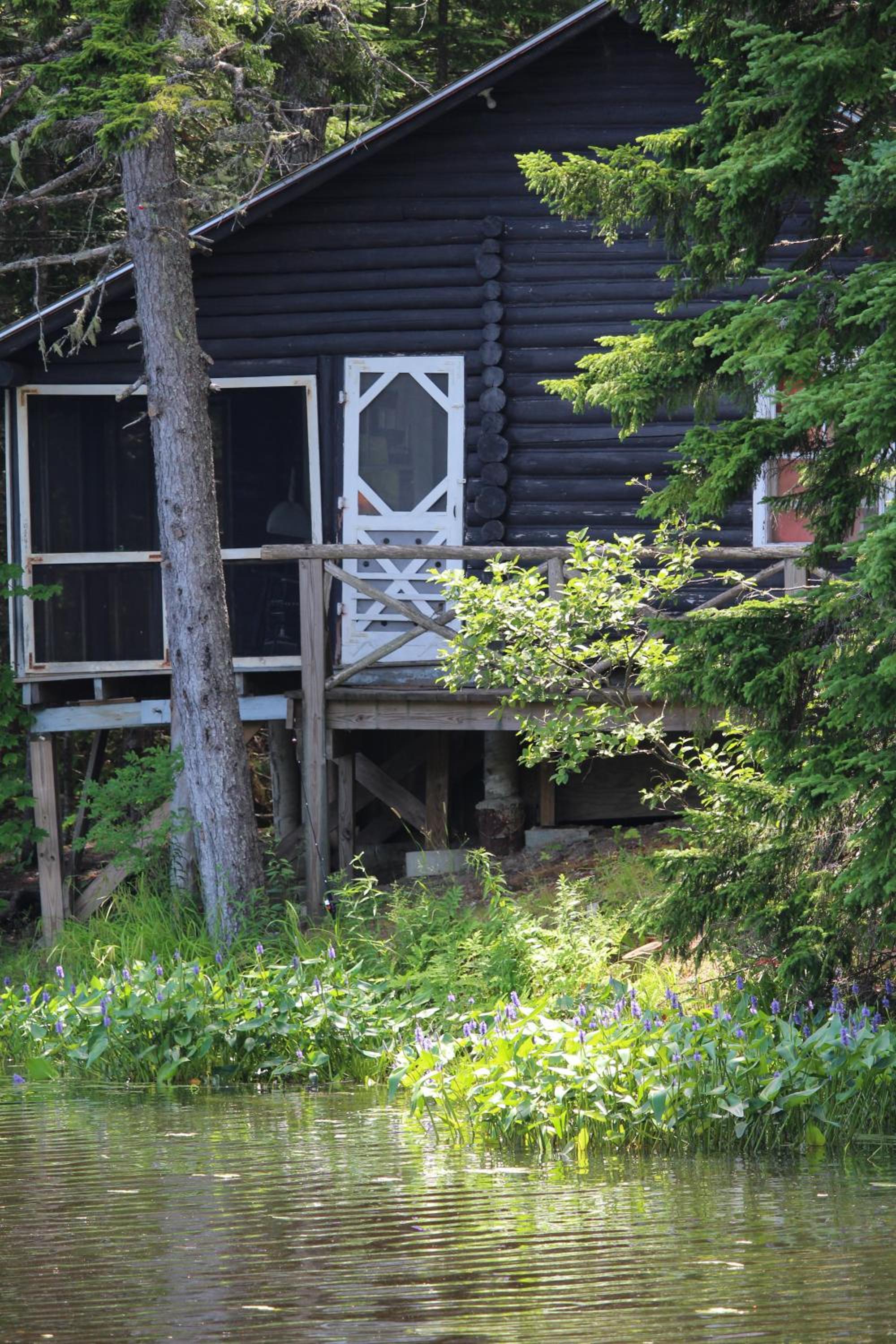 Photo 44
