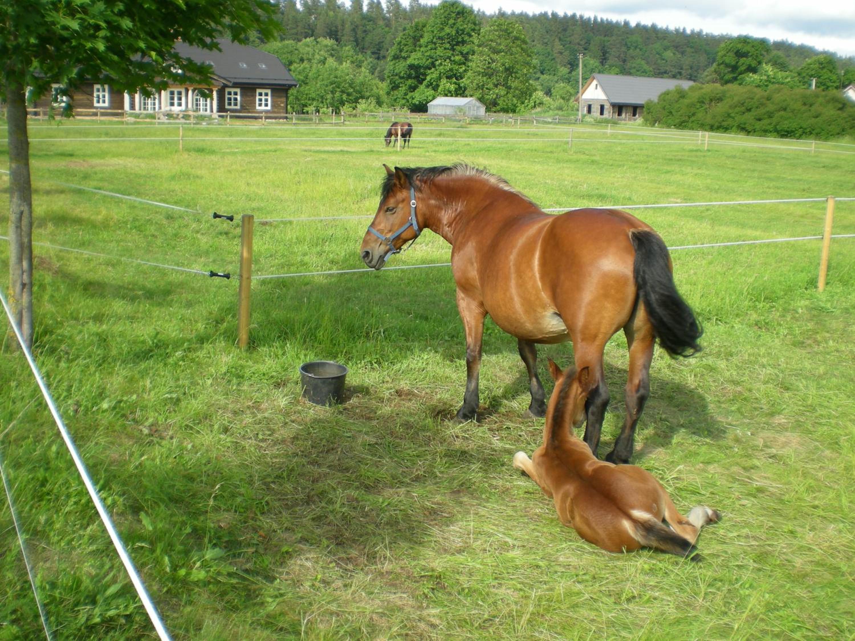 Photo 25